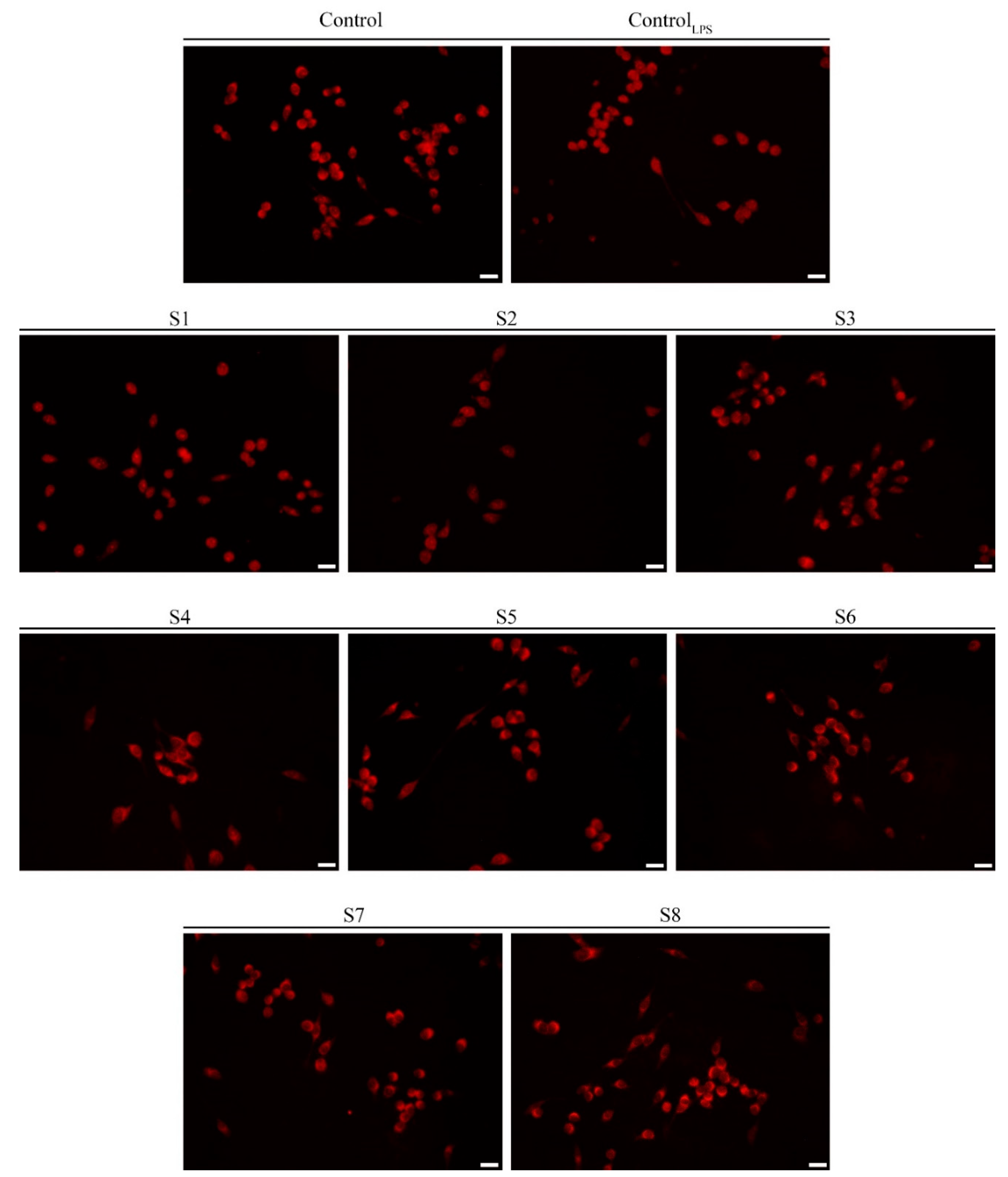 Antioxidants 10 00311 g005