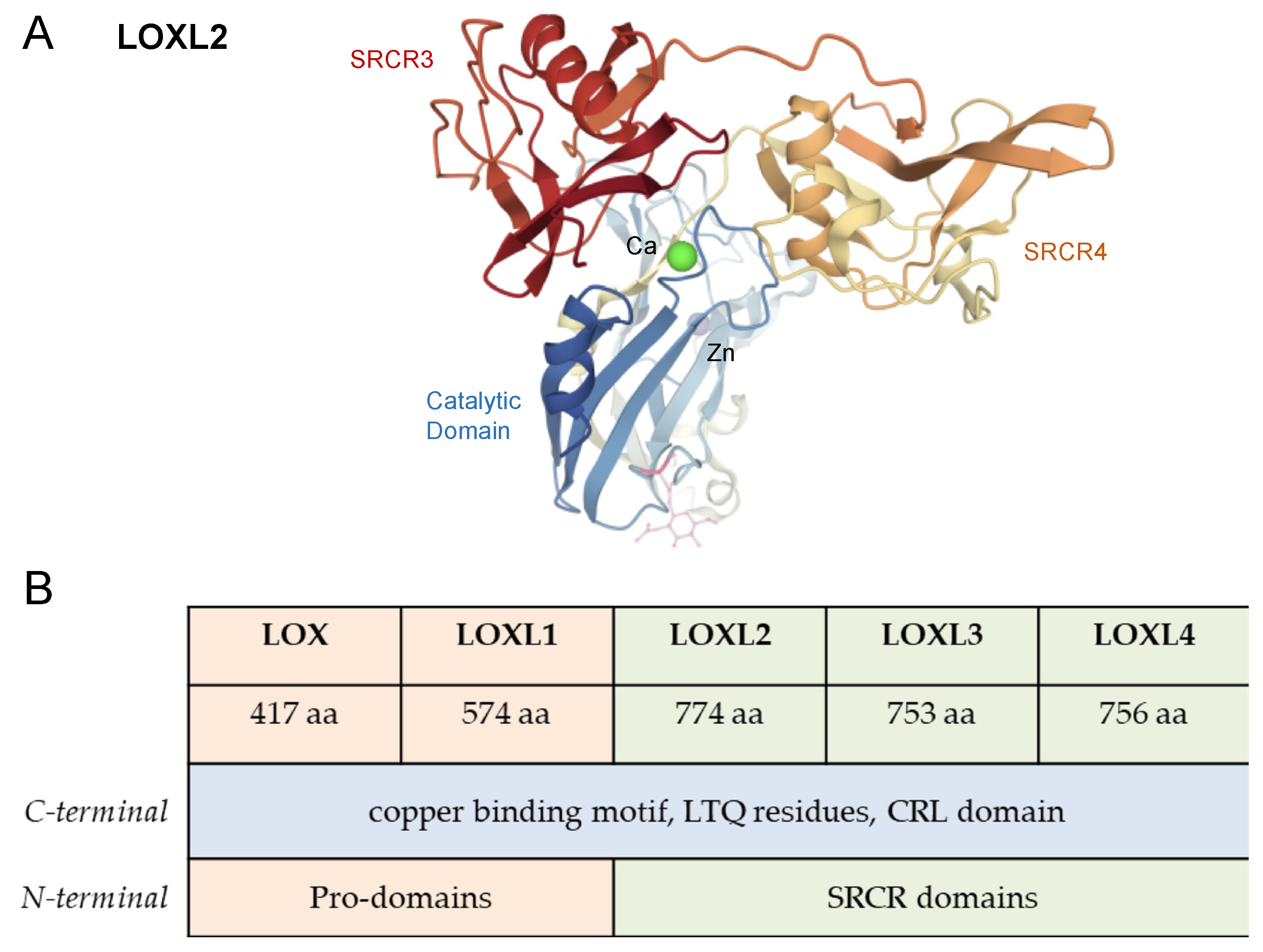 Antioxidants 10 00312 g002