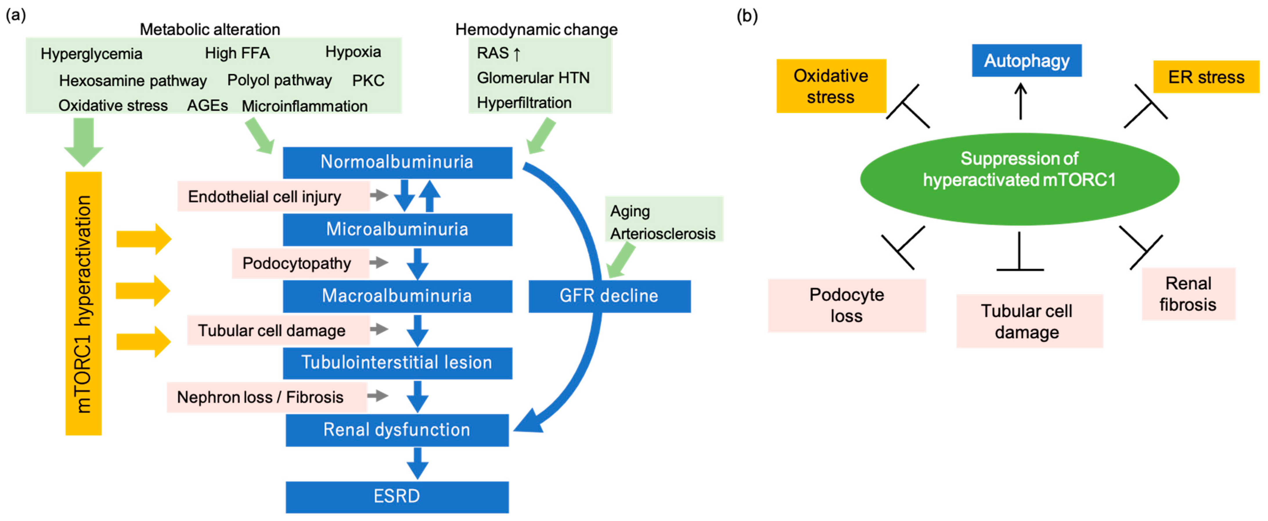 Antioxidants 10 00321 g001