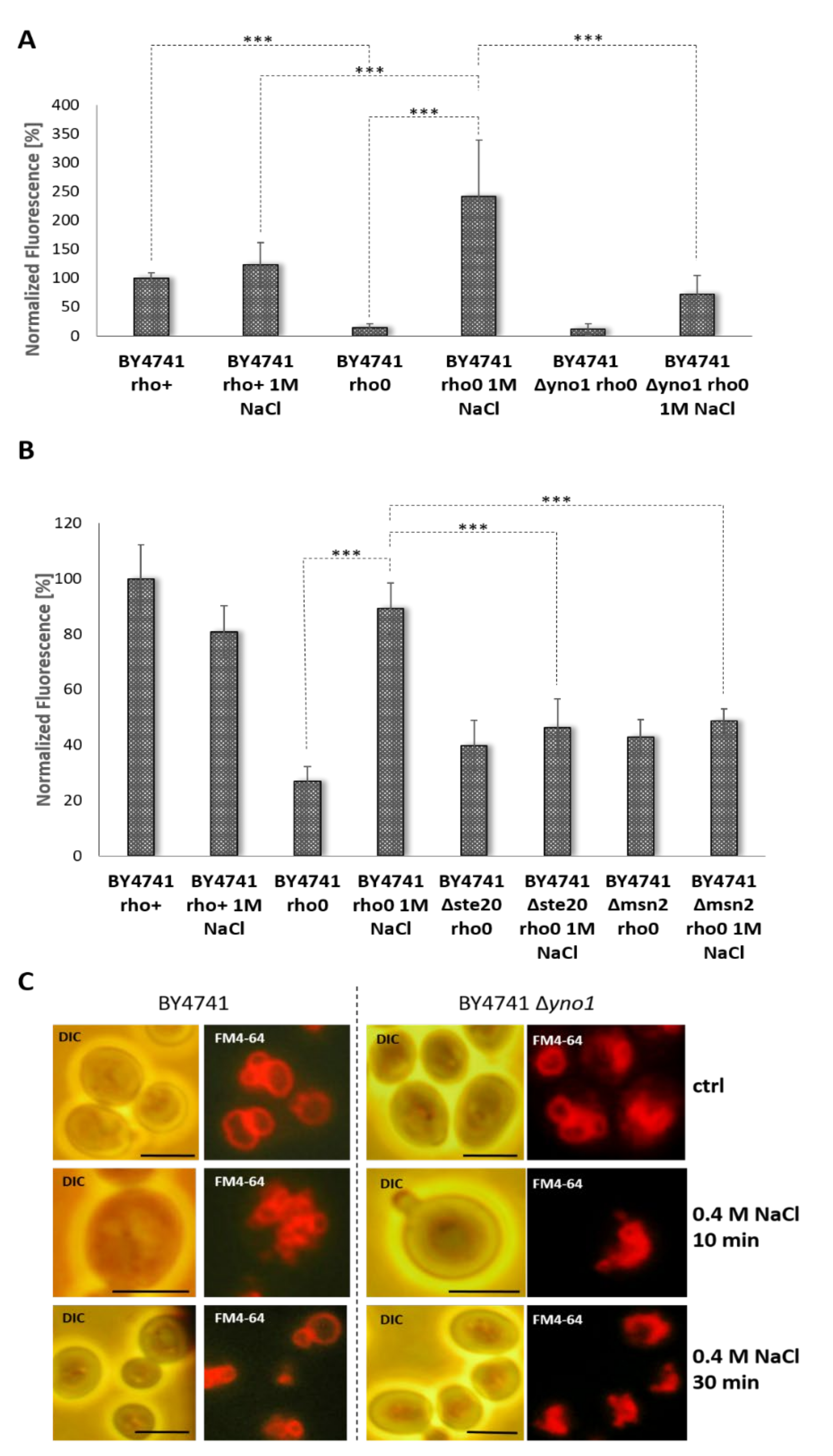 Antioxidants 10 00322 g004
