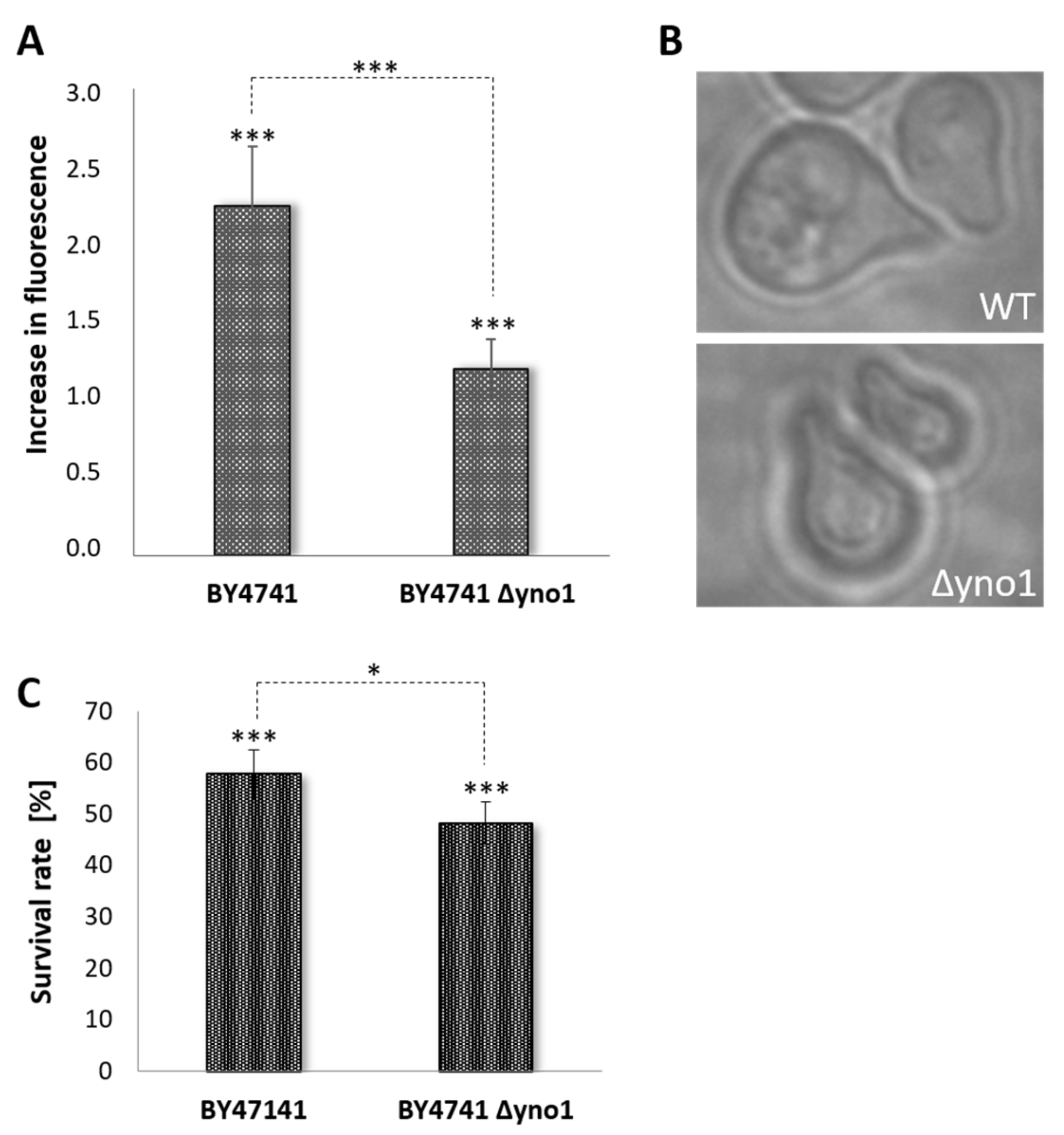 Antioxidants 10 00322 g005