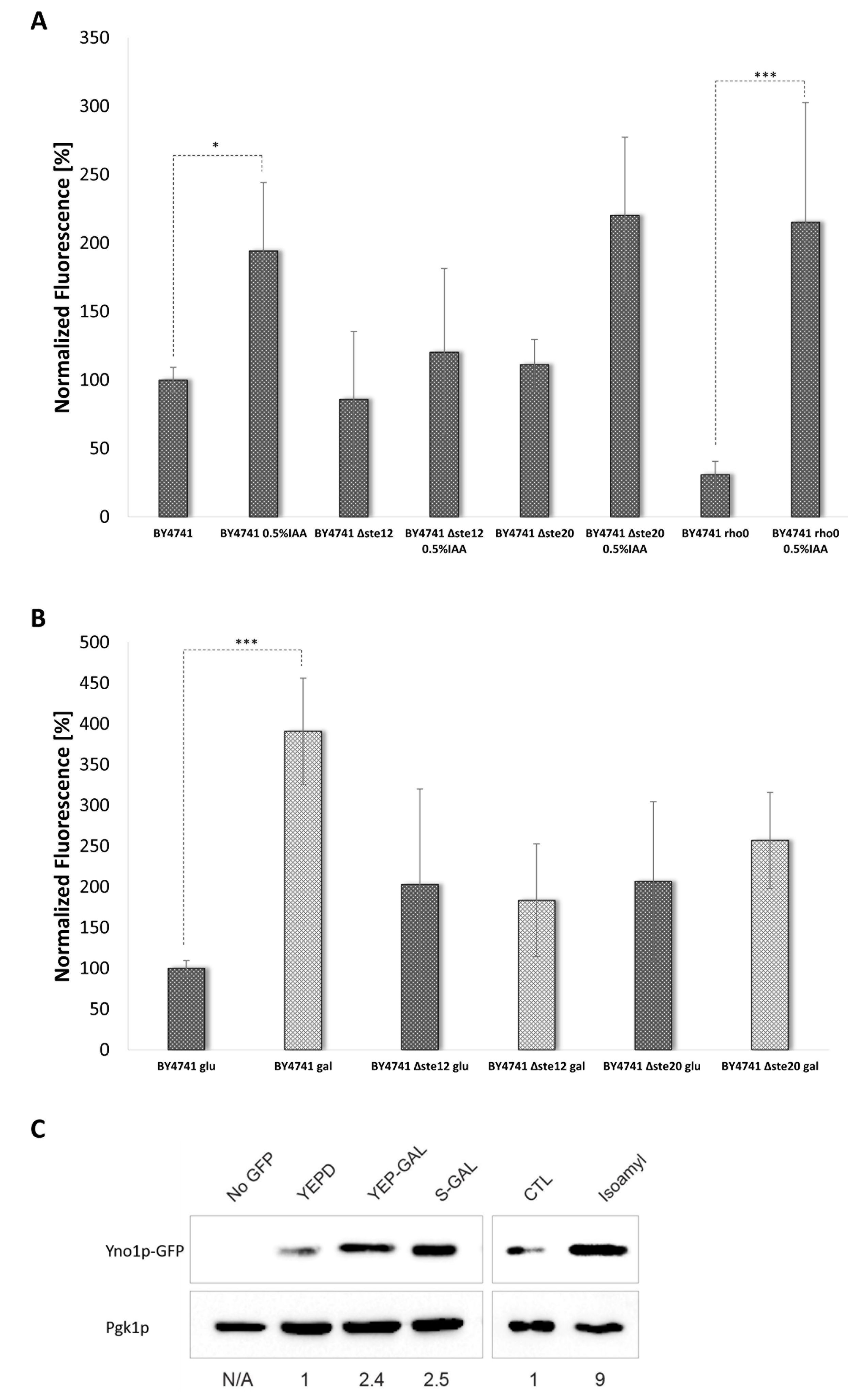 Antioxidants 10 00322 g006