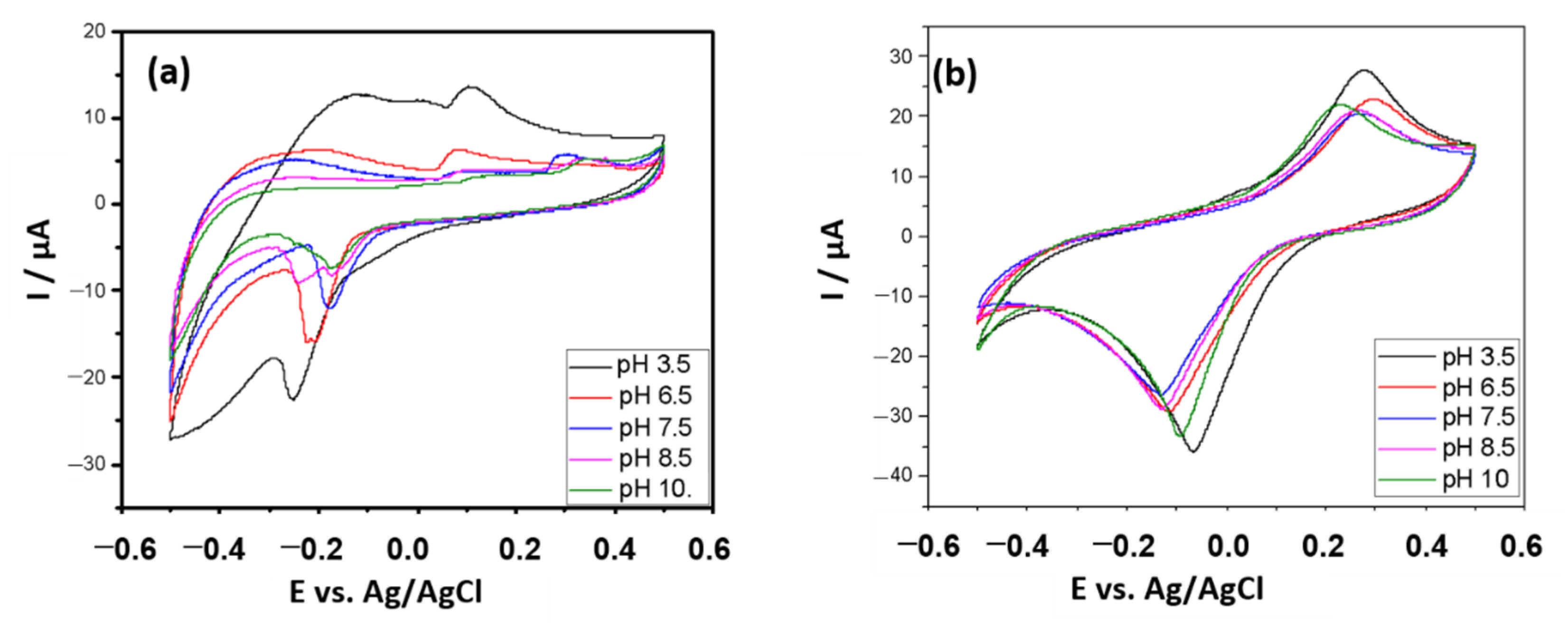 Antioxidants 10 00324 g003