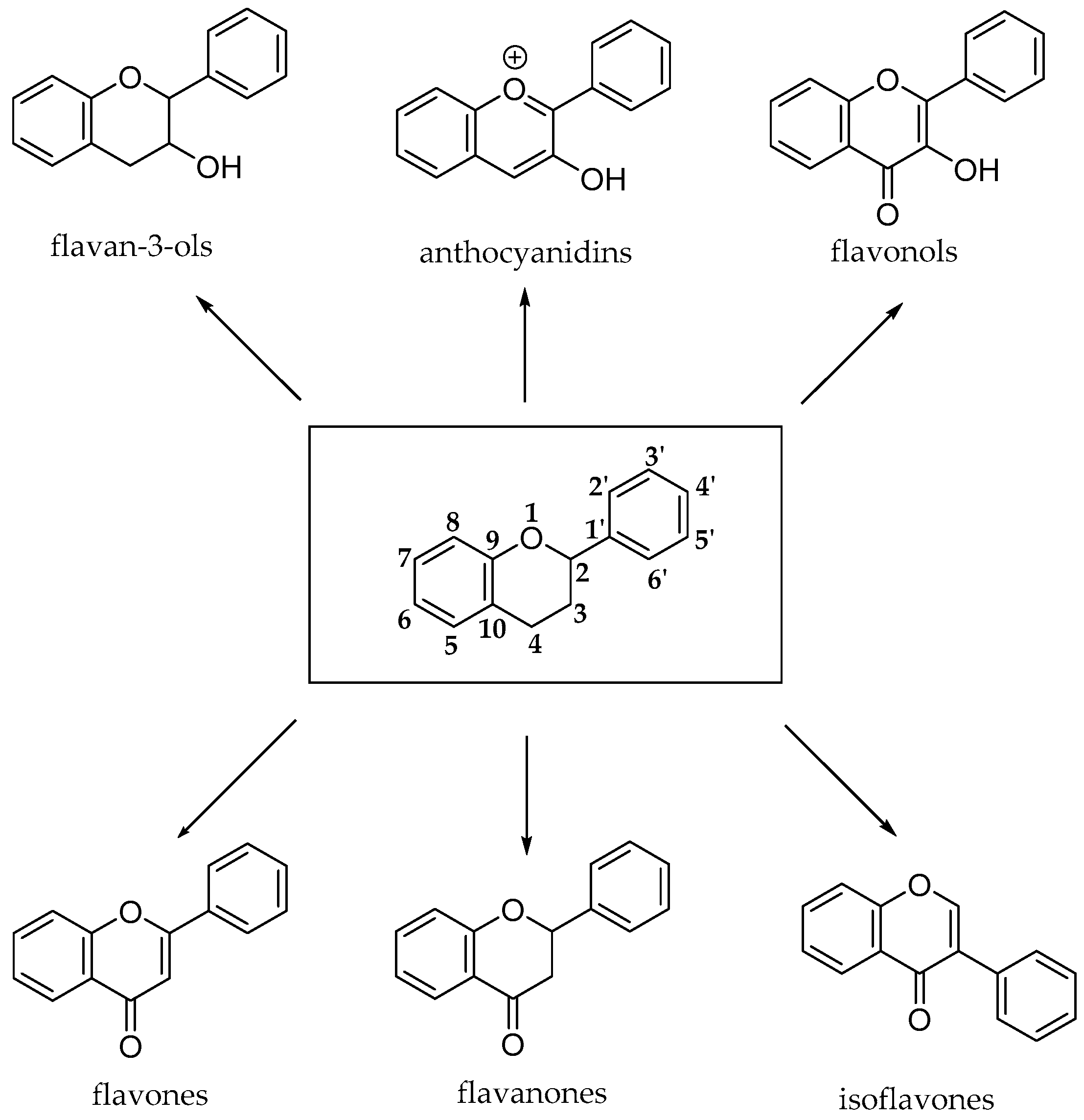 Antioxidants 10 00328 g008 Antioxidants 10 00328 g008