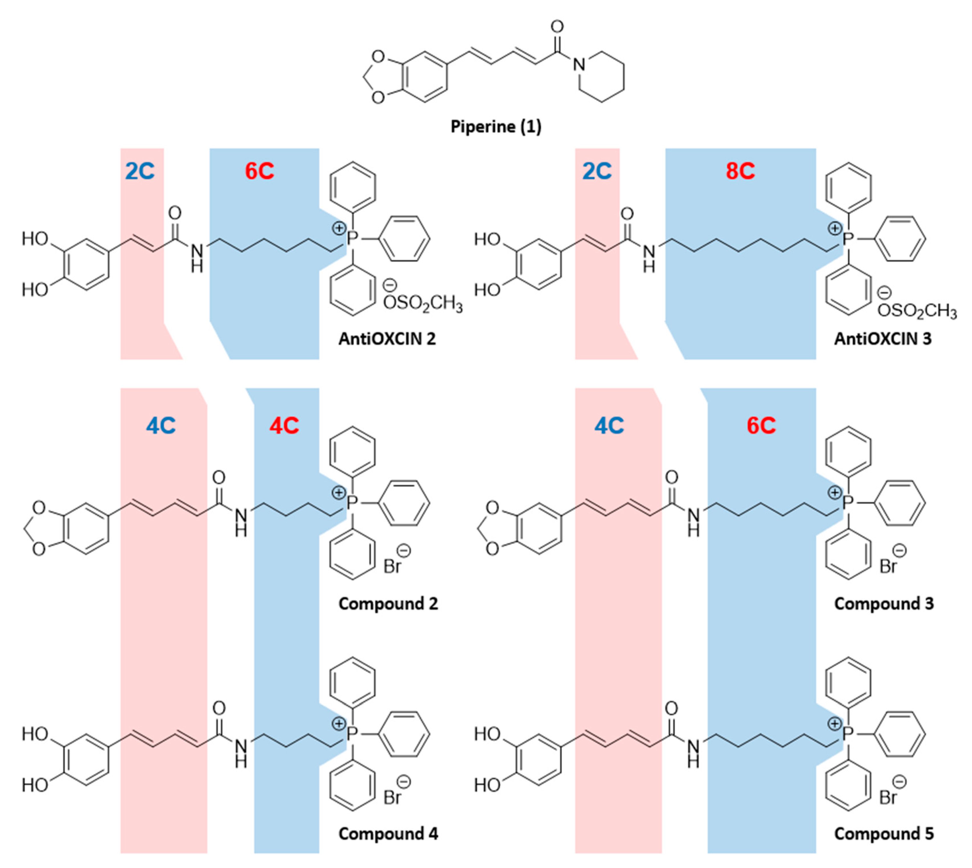 Antioxidants 10 00329 g001