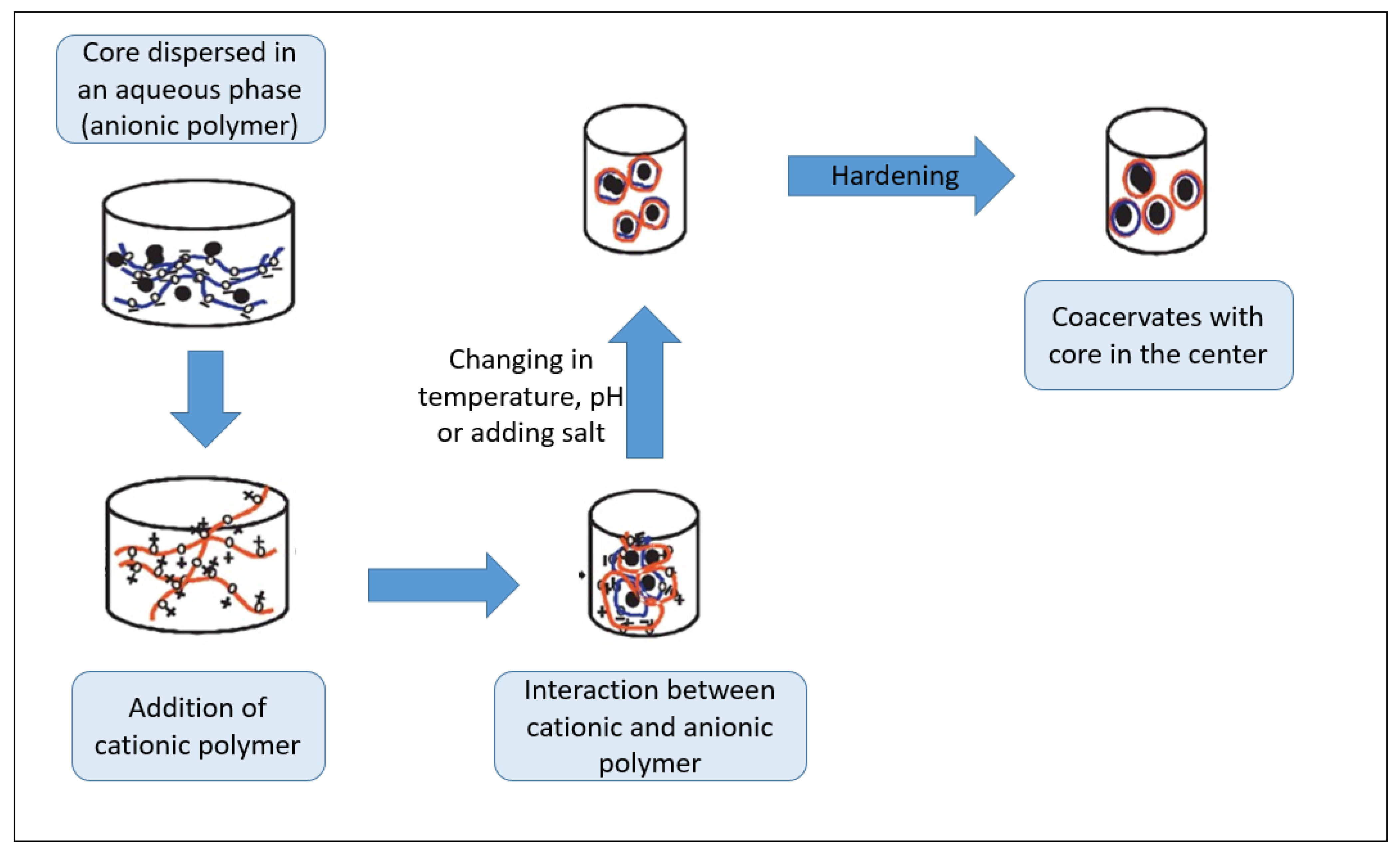 Antioxidants 10 00330 g004