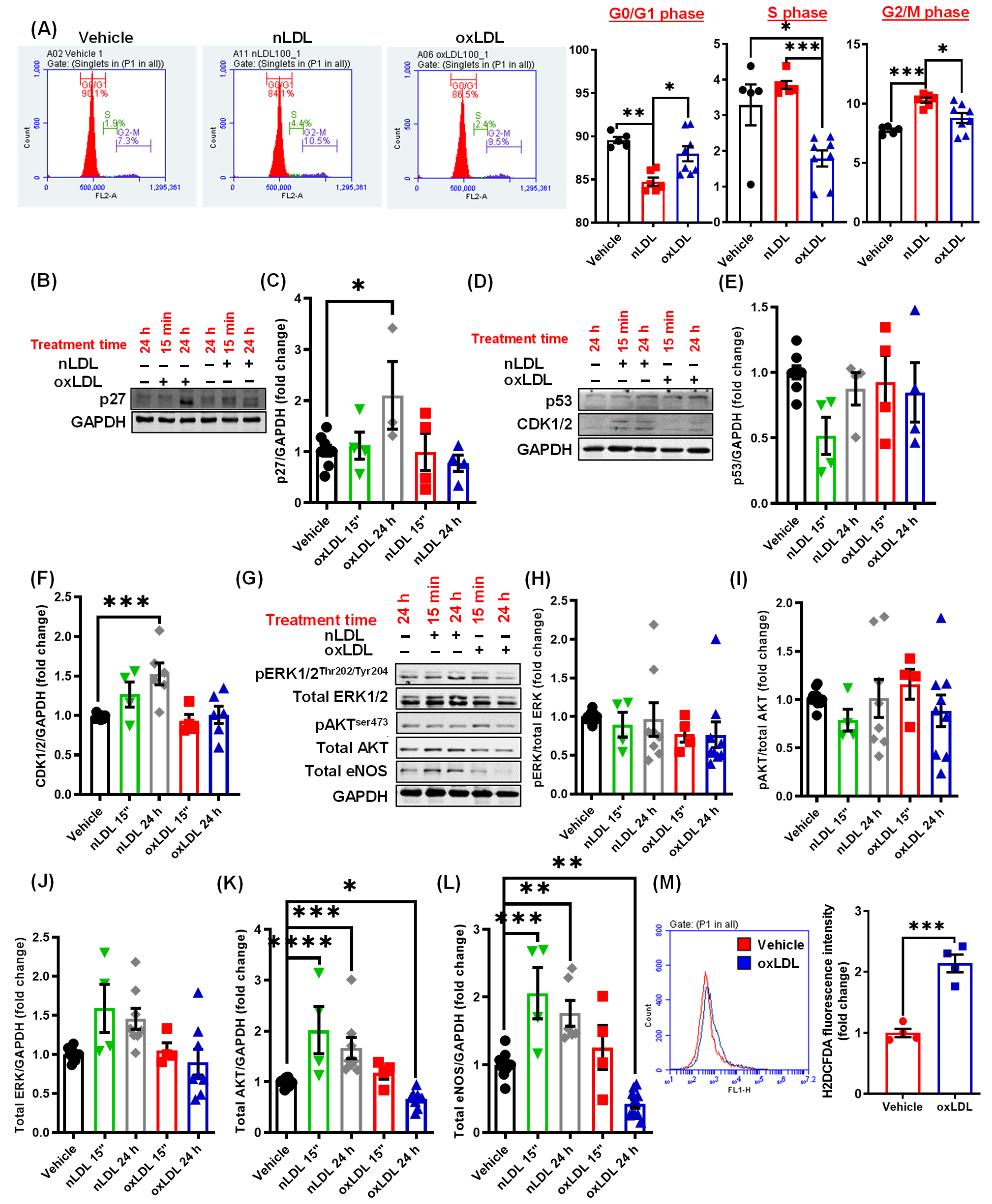 Antioxidants 10 00331 g005