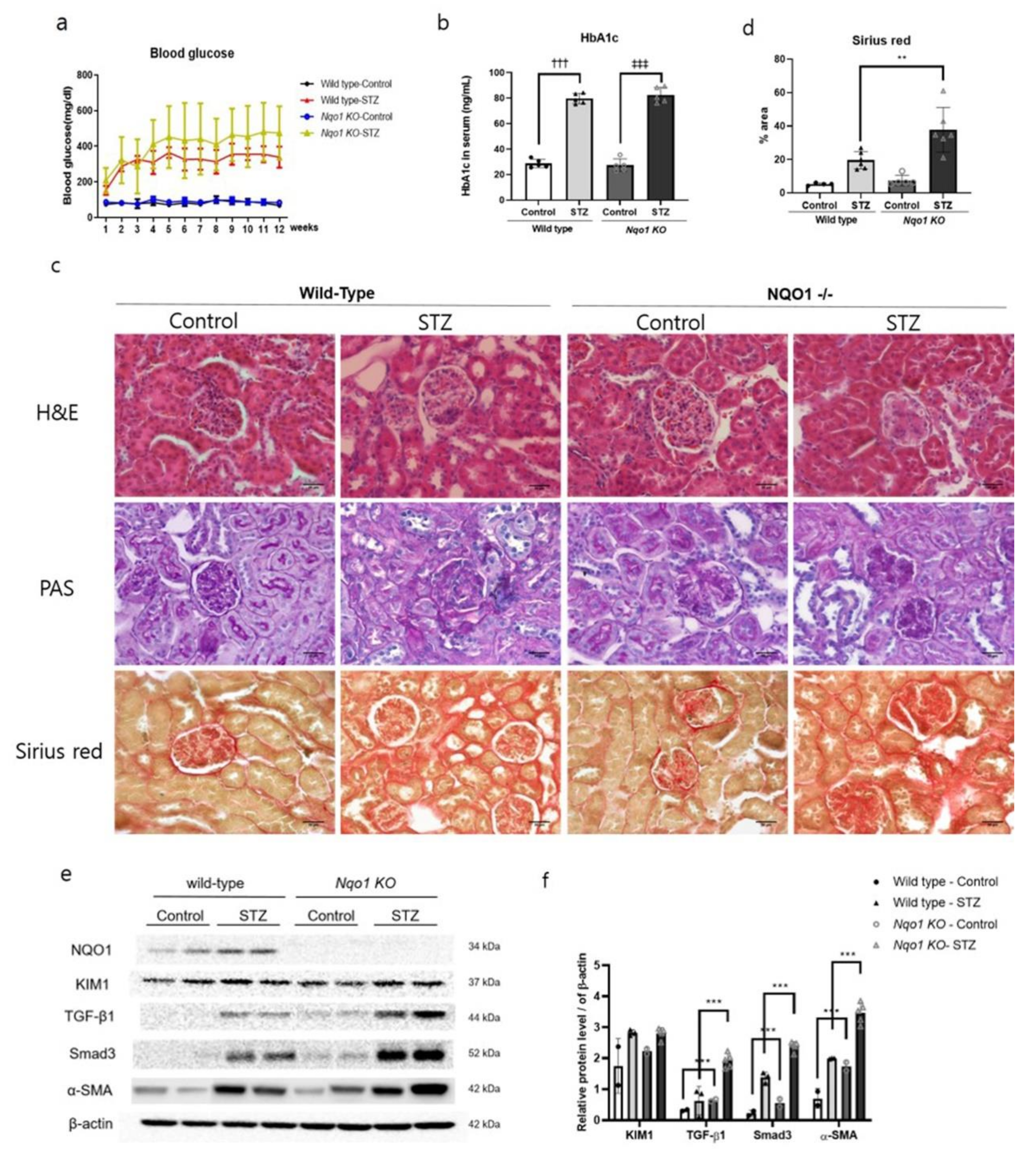 Antioxidants 10 00333 g005
