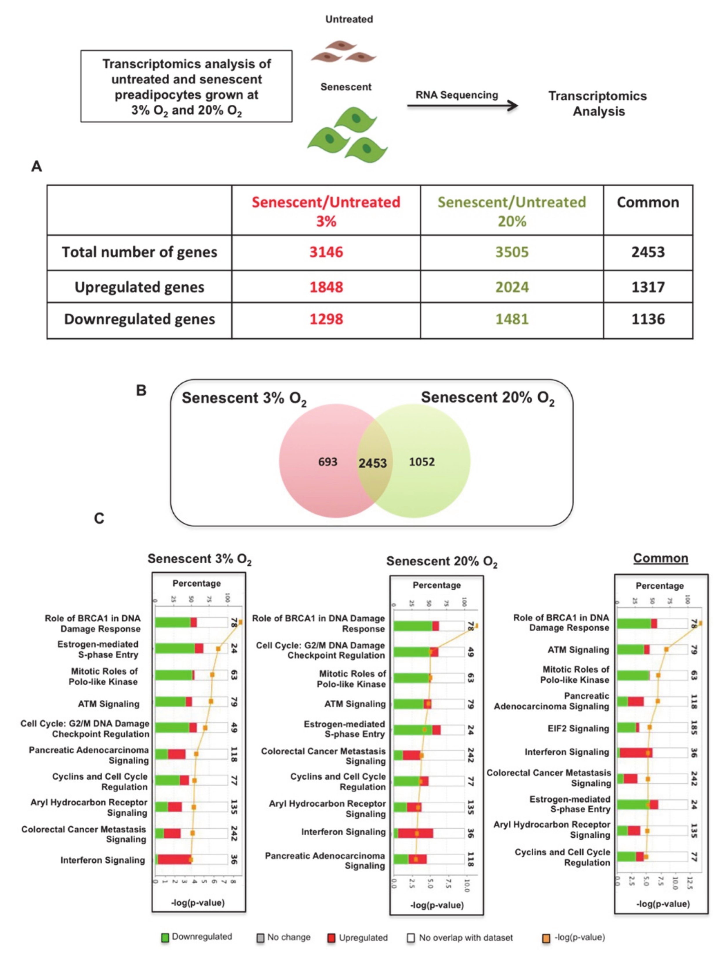 Antioxidants 10 00334 g002