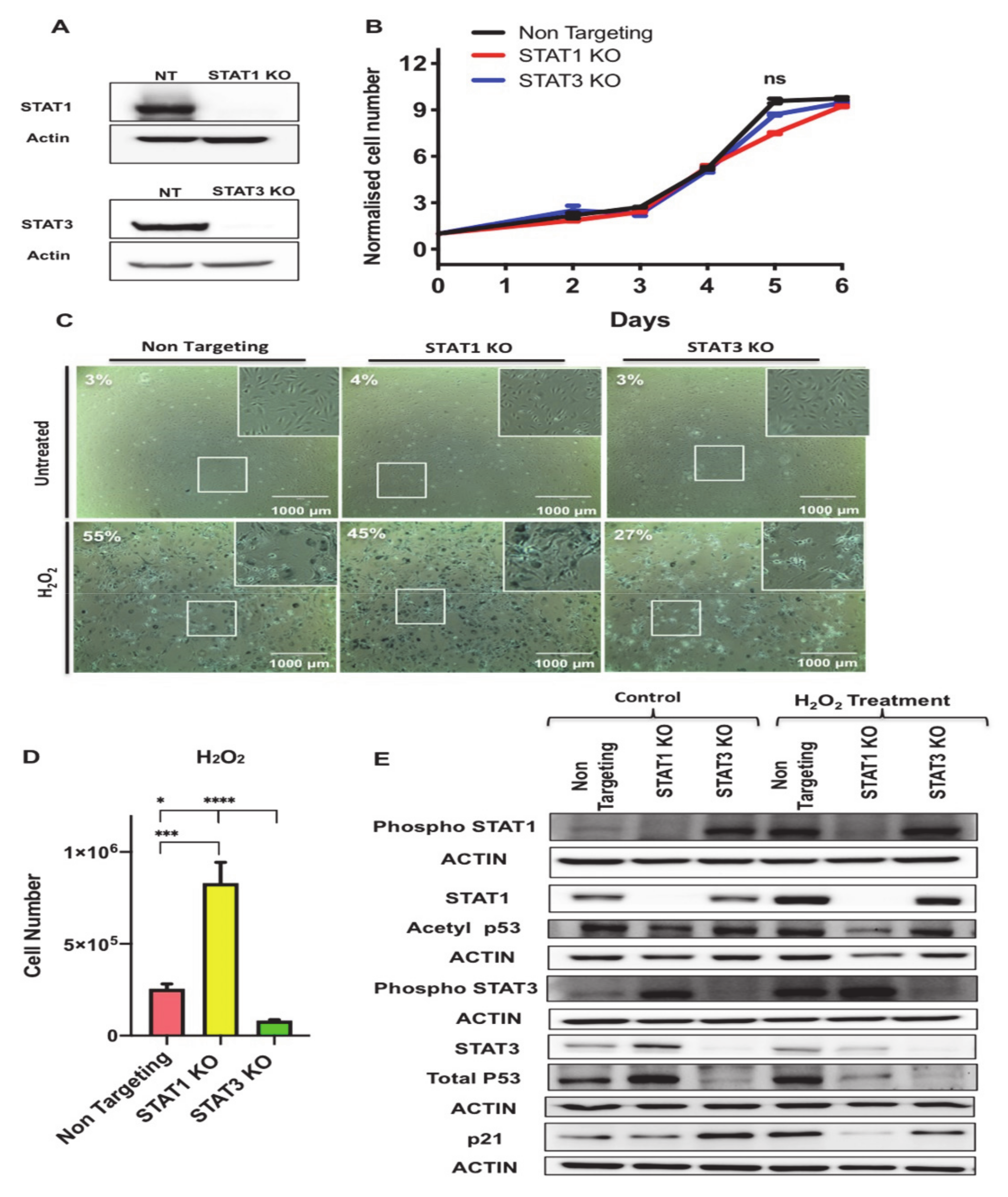 Antioxidants 10 00334 g007