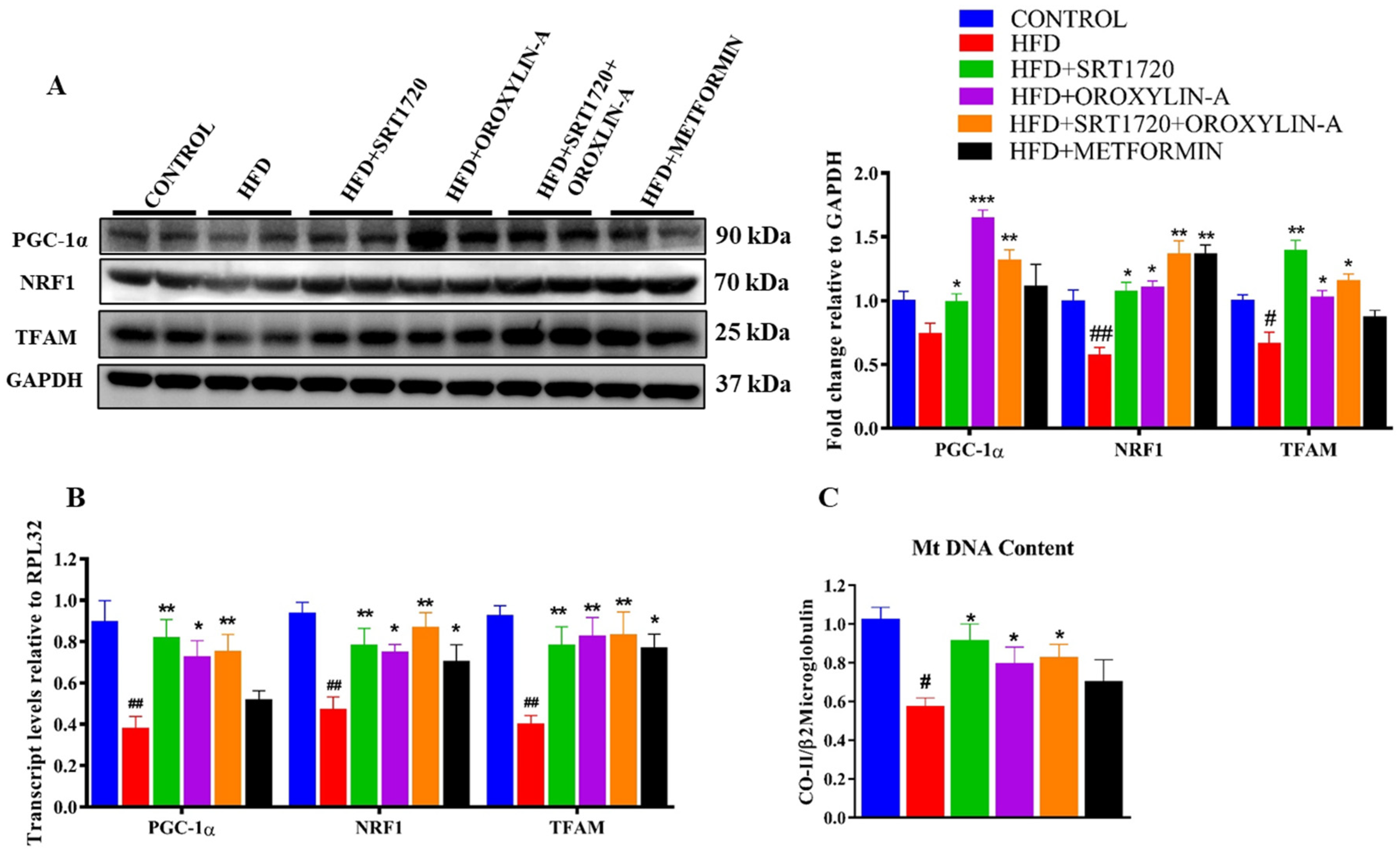 Antioxidants 10 00338 g005