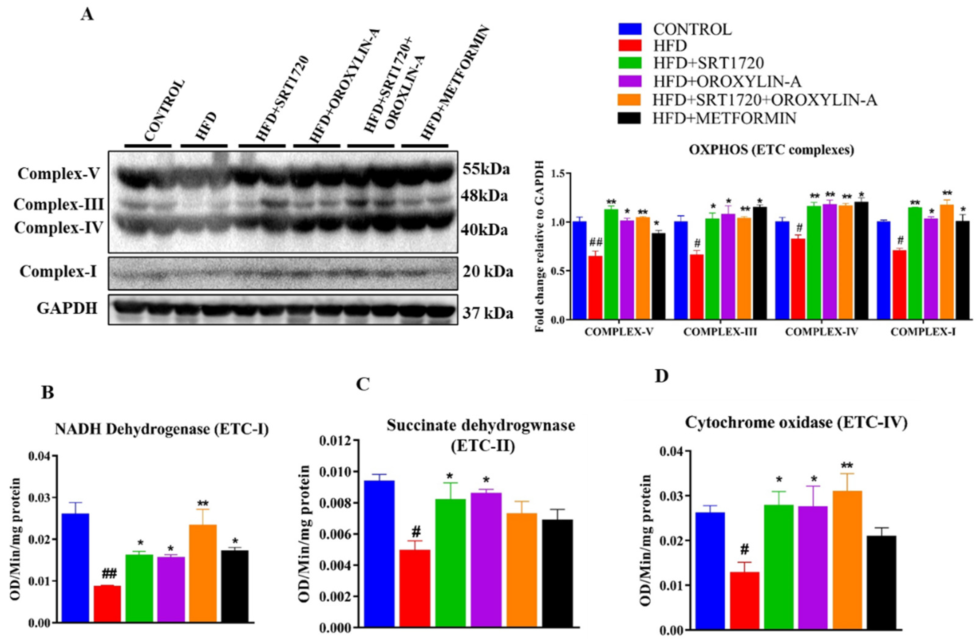 Antioxidants 10 00338 g006