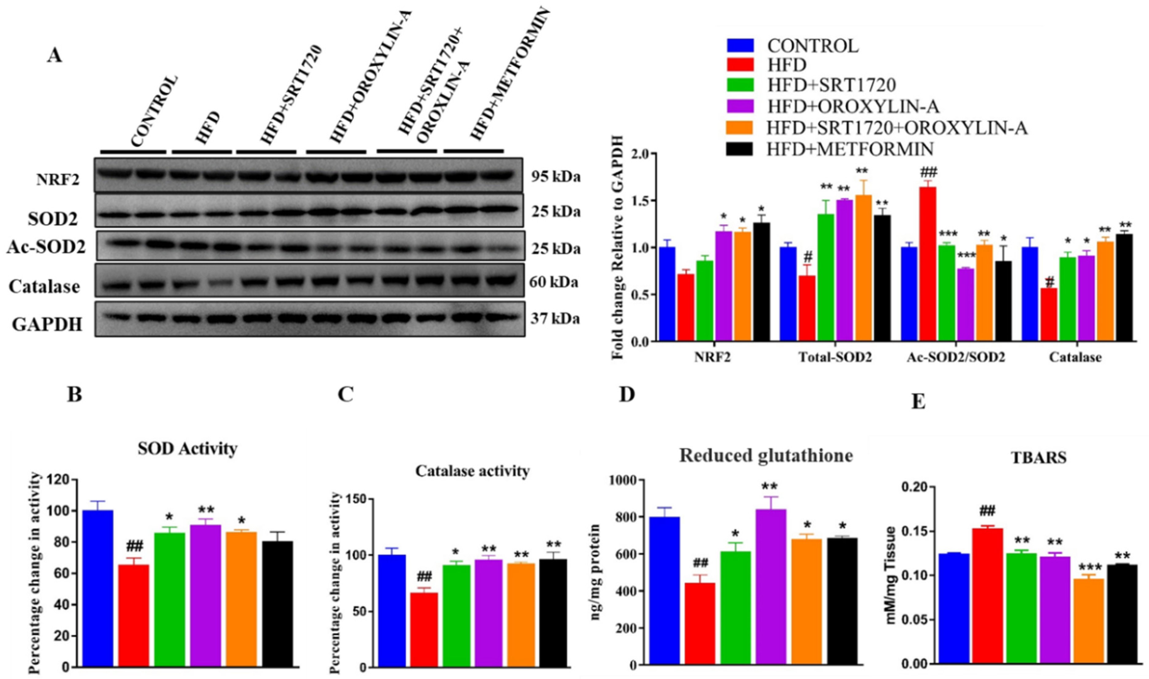 Antioxidants 10 00338 g008