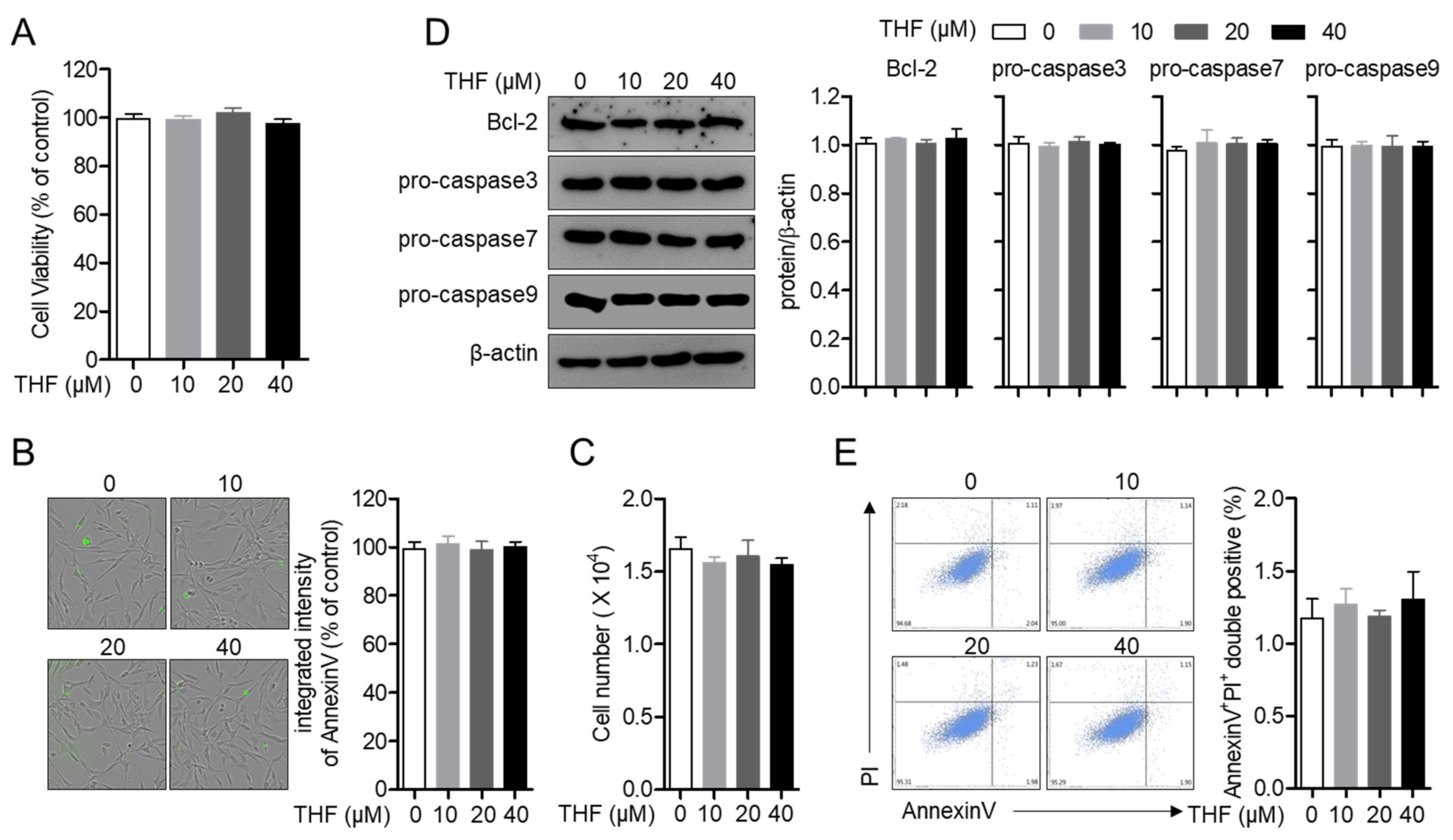 Antioxidants 10 00341 g002