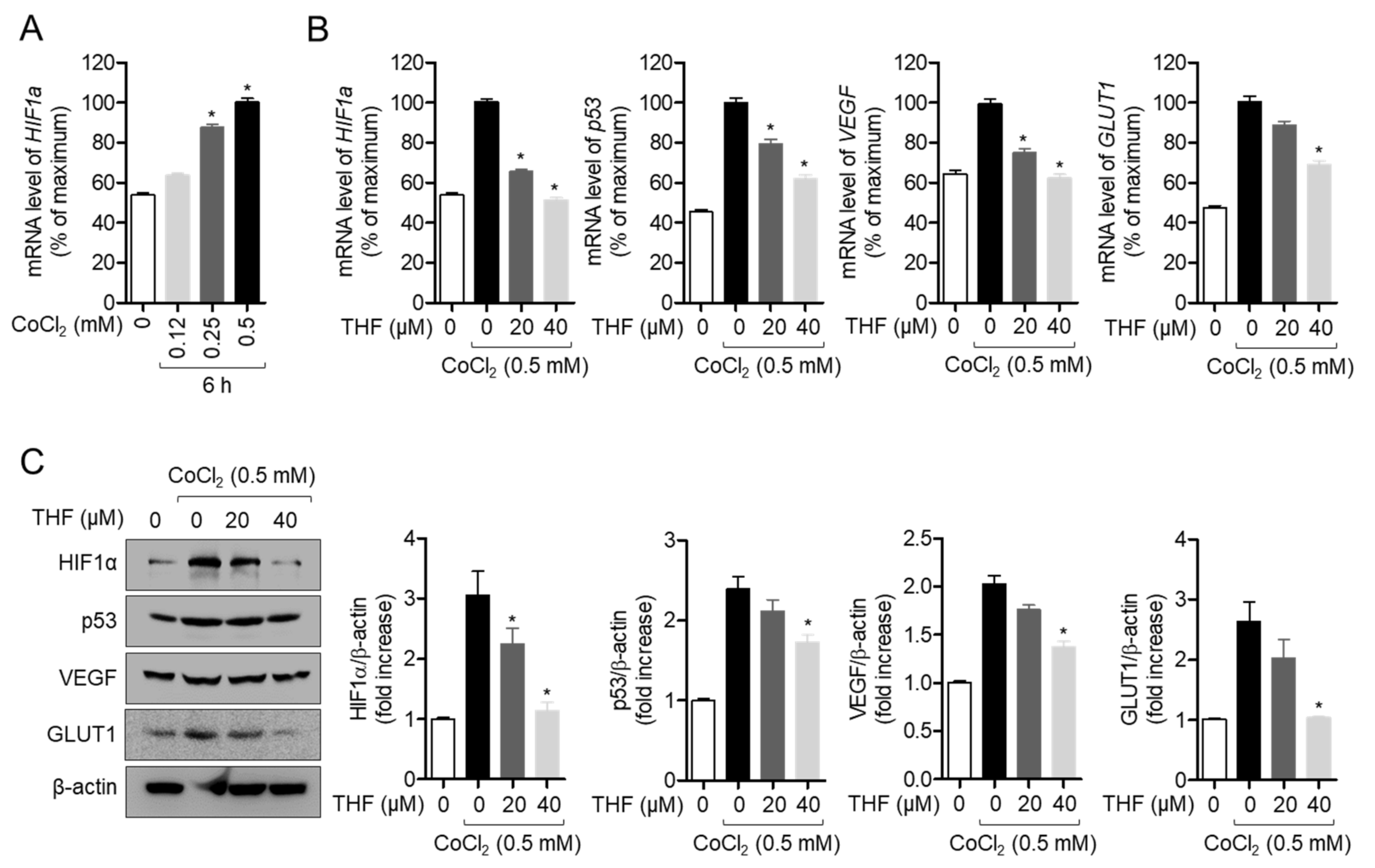 Antioxidants 10 00341 g005