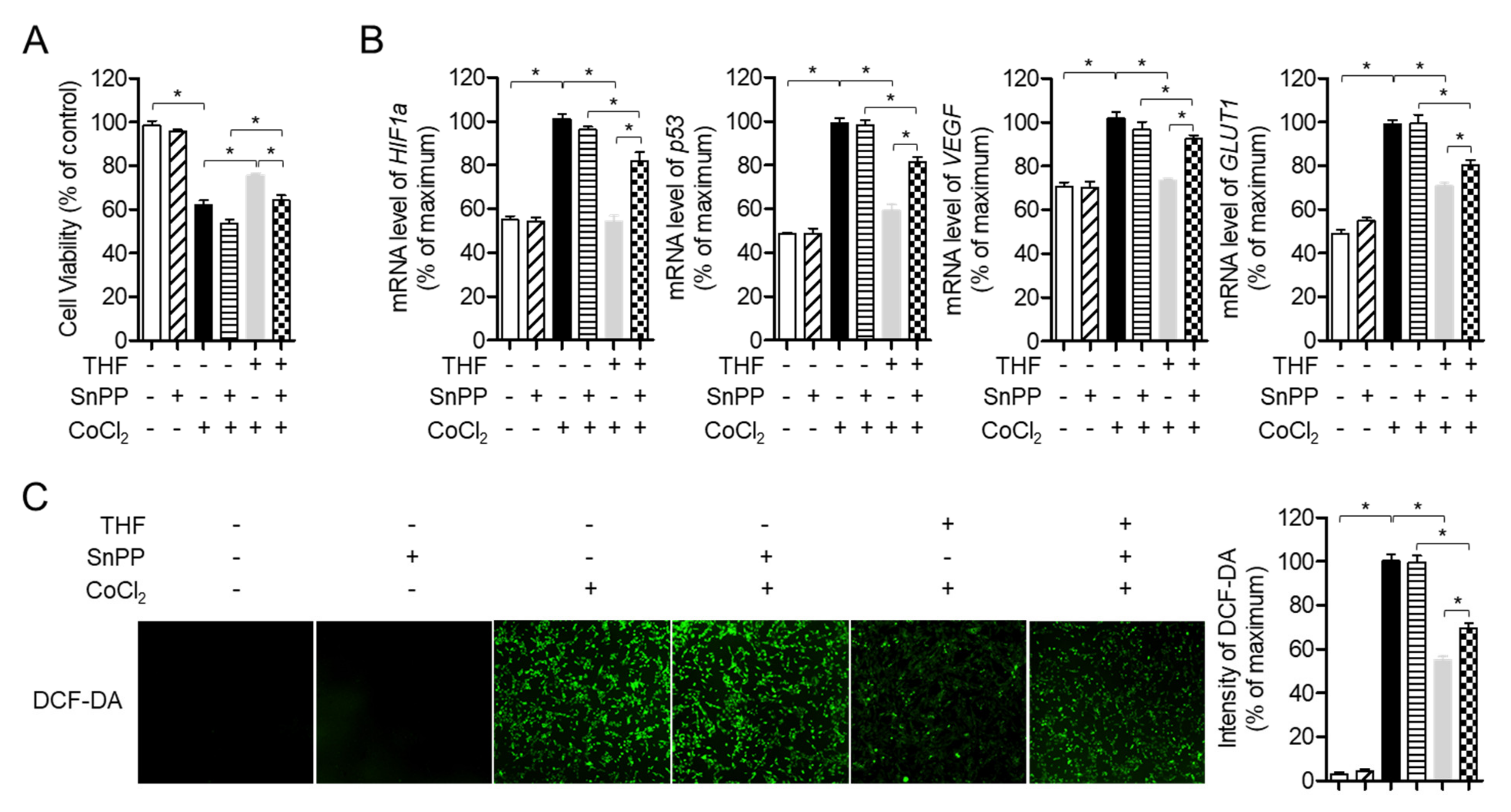Antioxidants 10 00341 g008