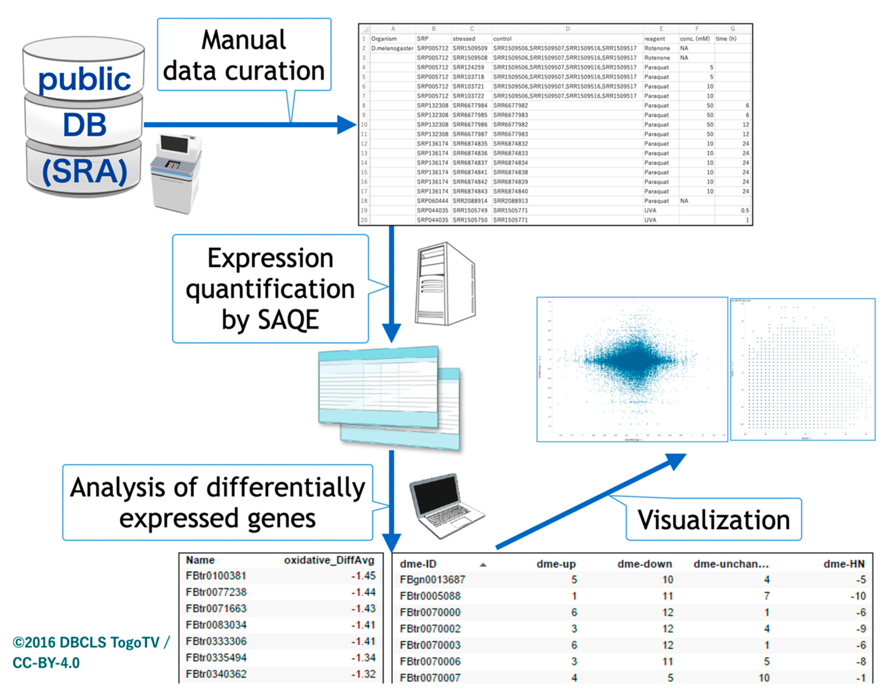 Antioxidants 10 00345 g001