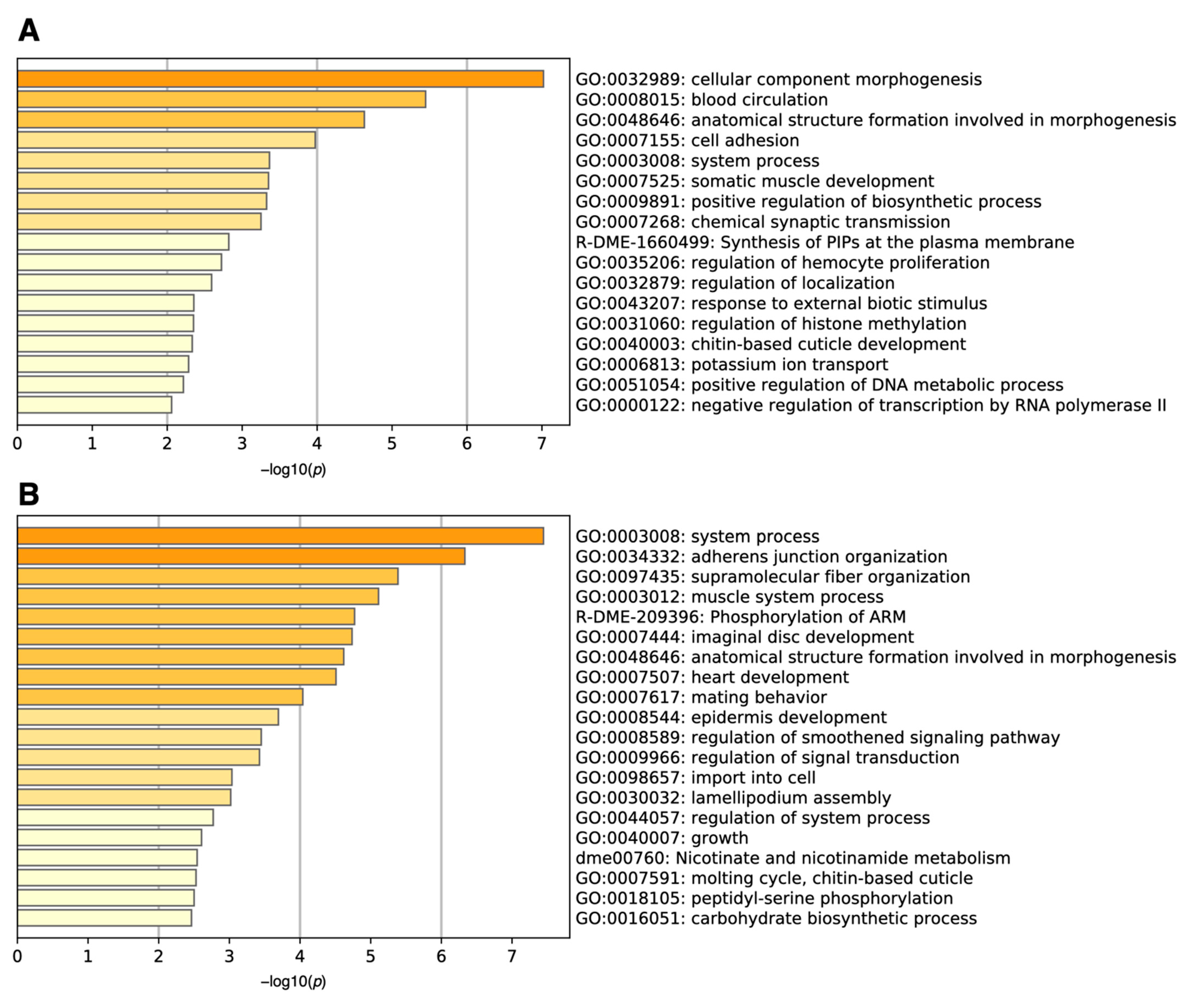 Antioxidants 10 00345 g003