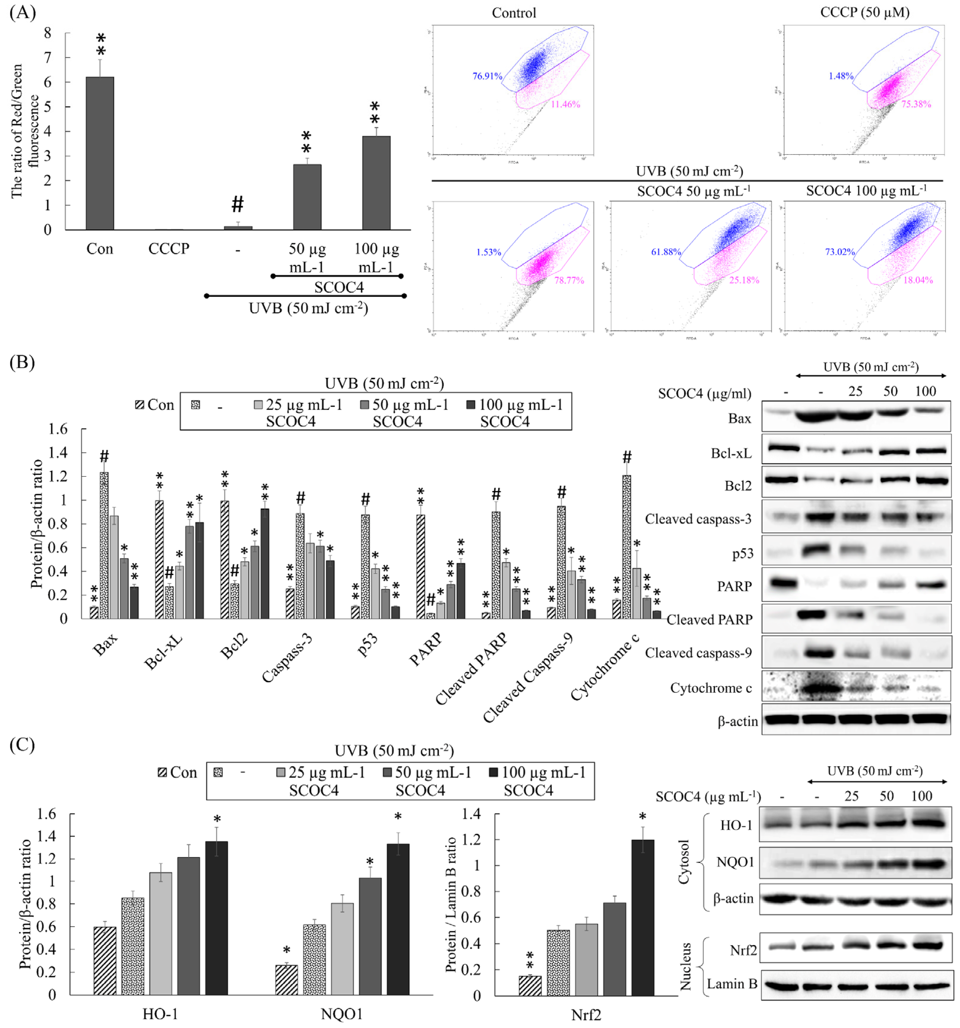 Antioxidants 10 00347 g006 Antioxidants 10 00347 g006