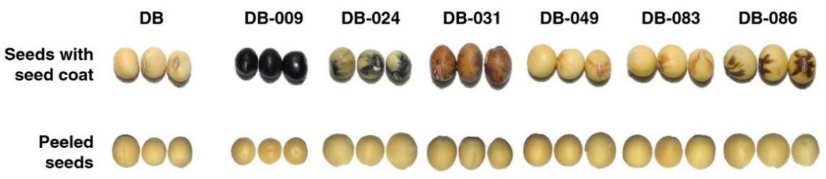 Antioxidants 10 00353 g001