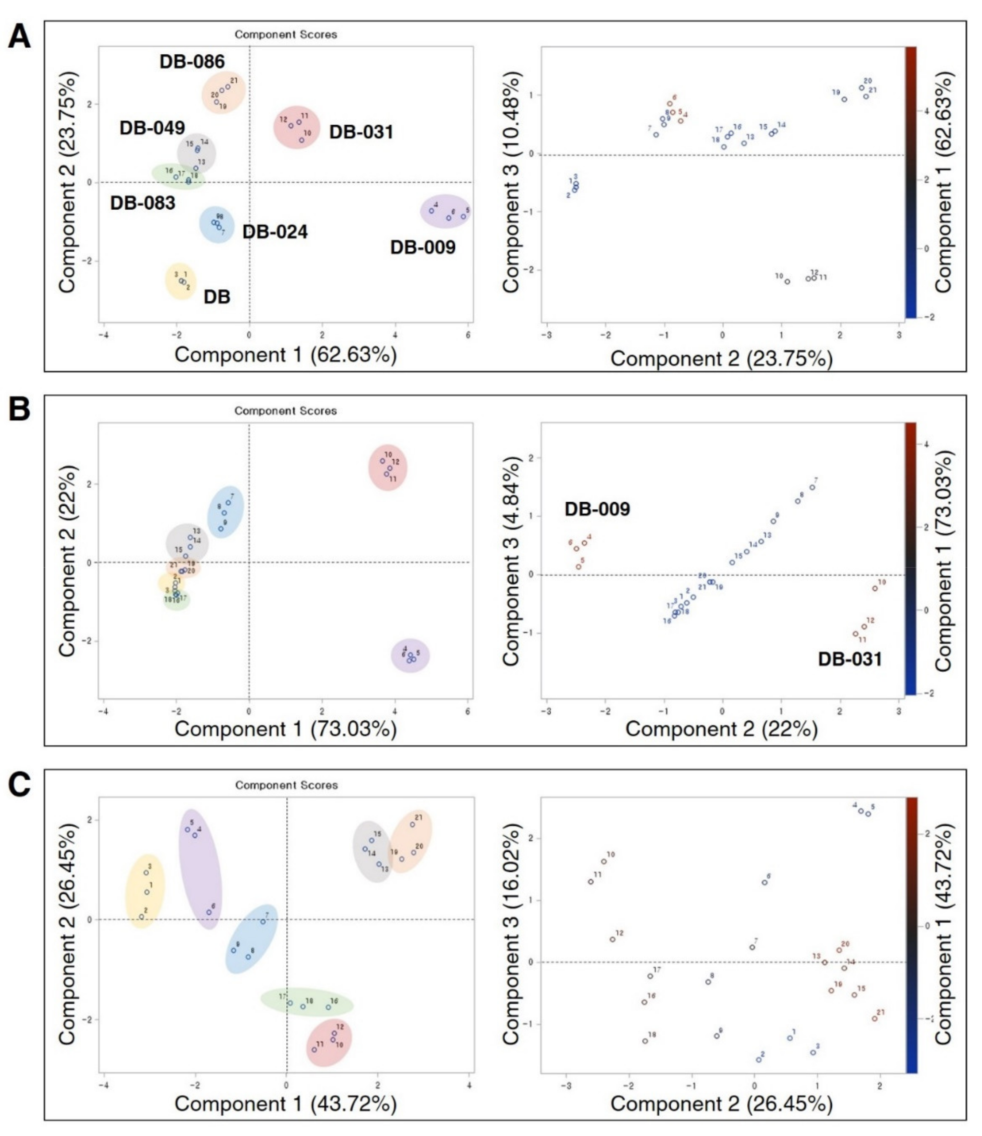 Antioxidants 10 00353 g004