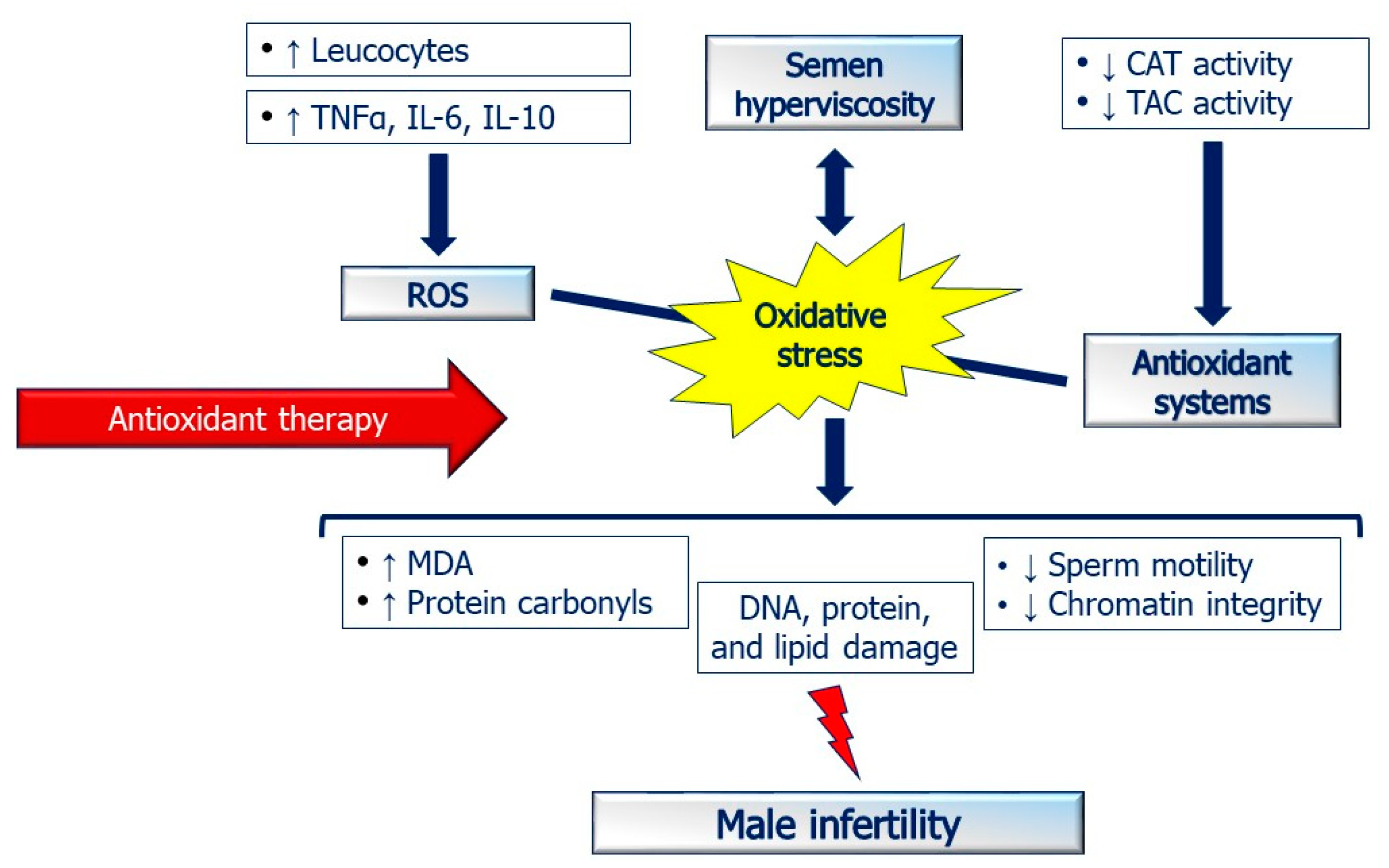 Antioxidants 10 00356 g002 Antioxidants 10 00356 g002