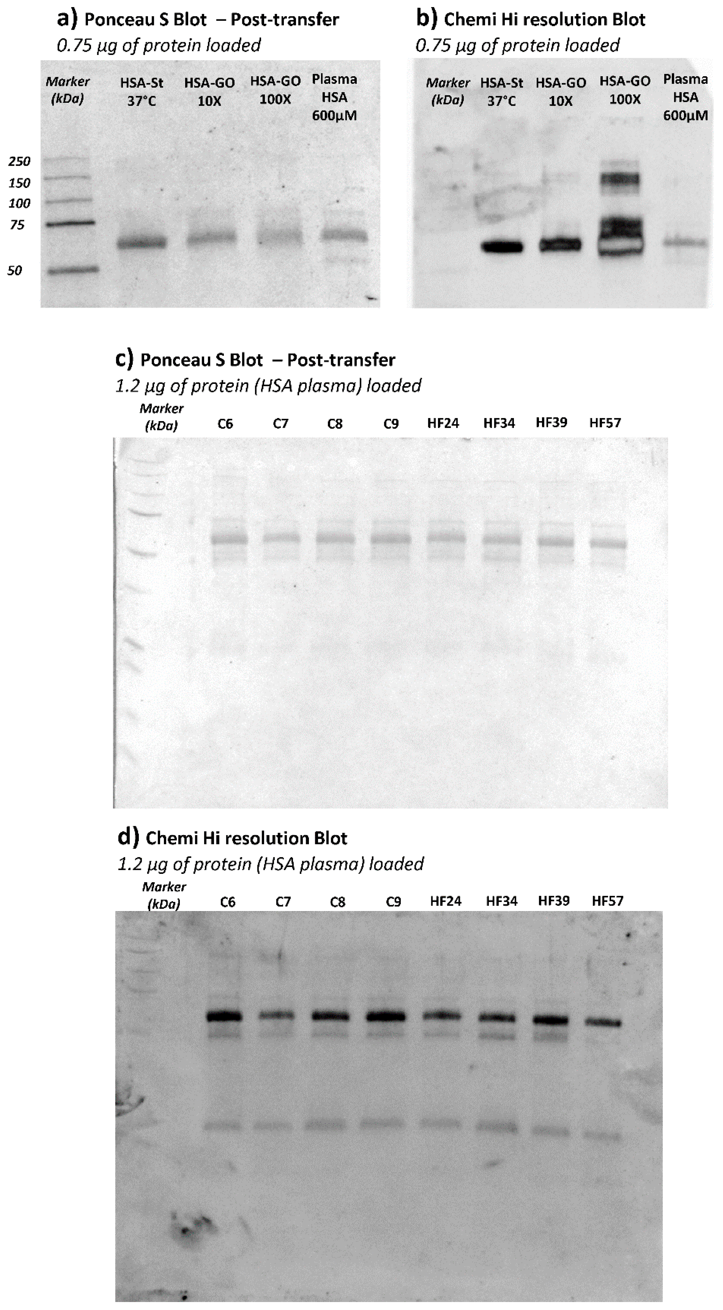 Antioxidants 10 00358 g006