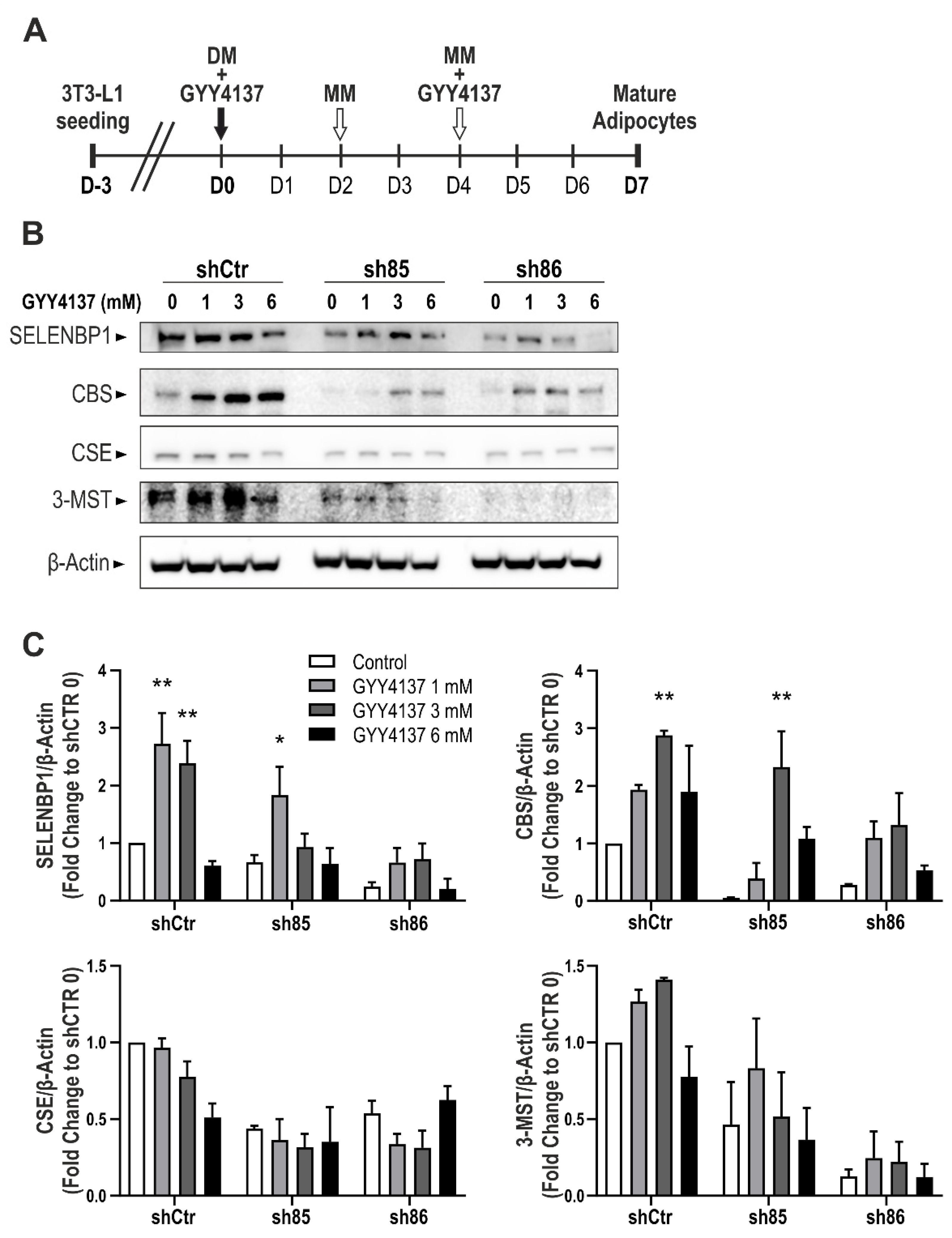 Antioxidants 10 00361 g007