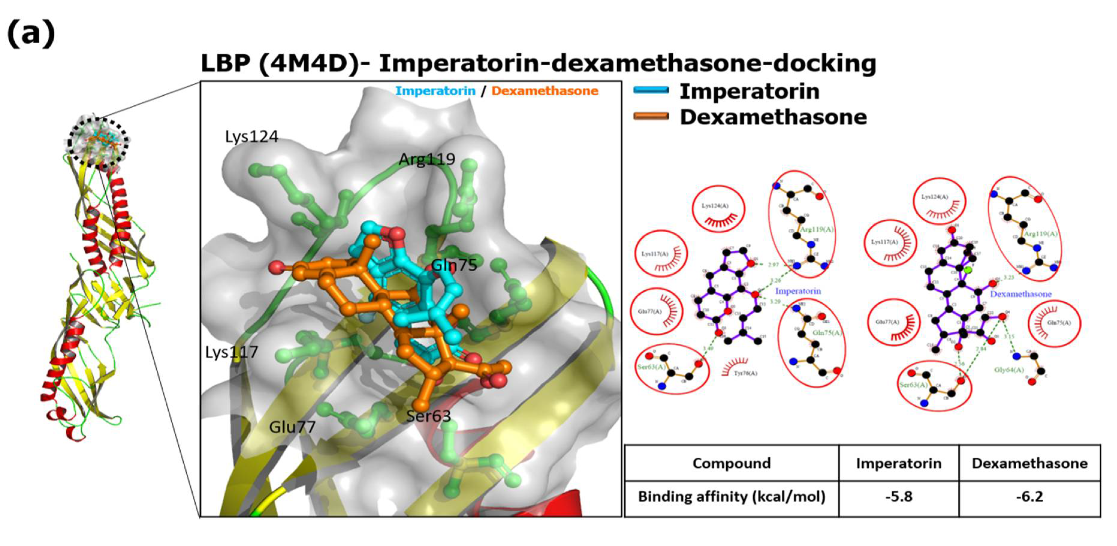 Antioxidants 10 00362 g001a