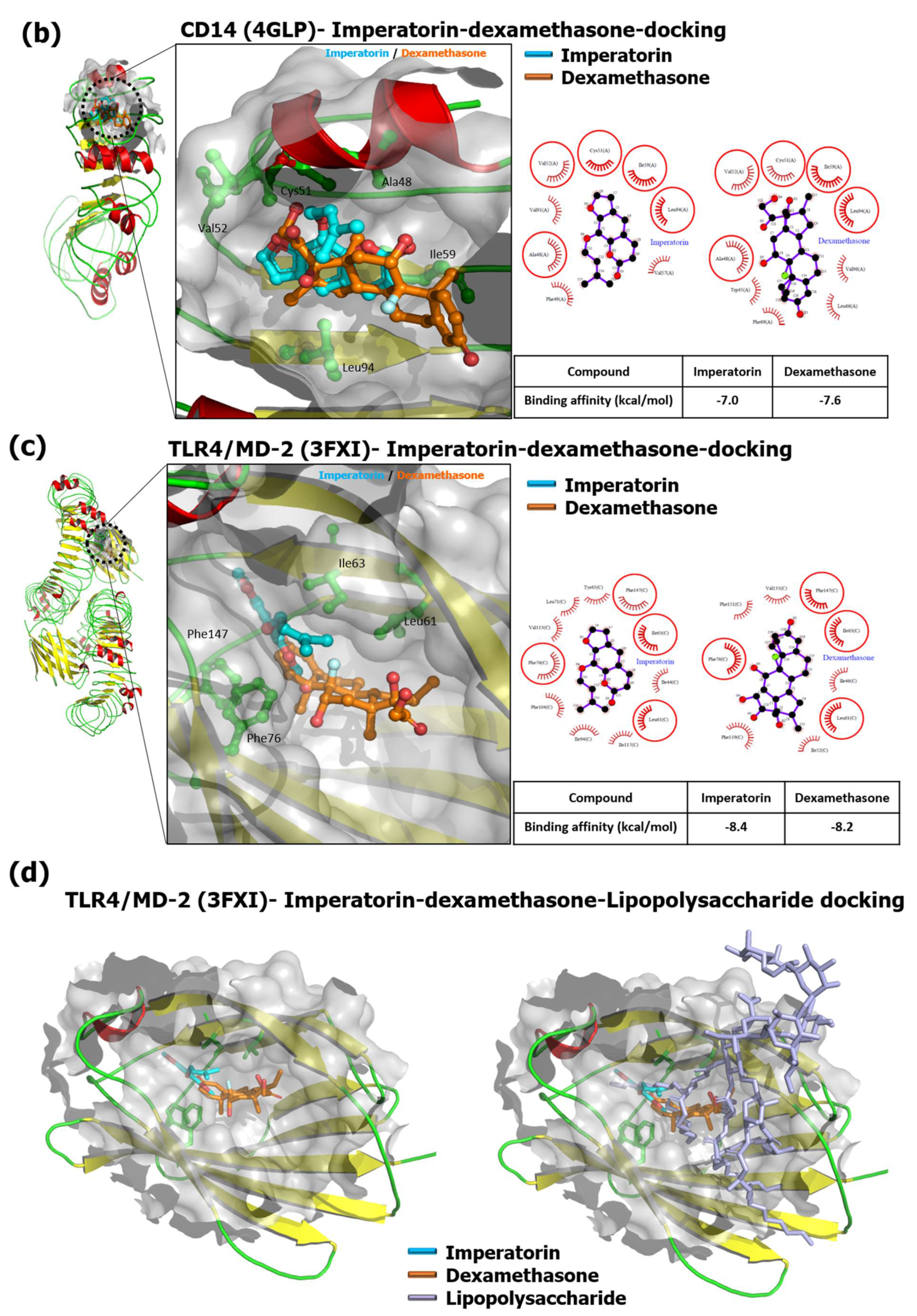 Antioxidants 10 00362 g001b
