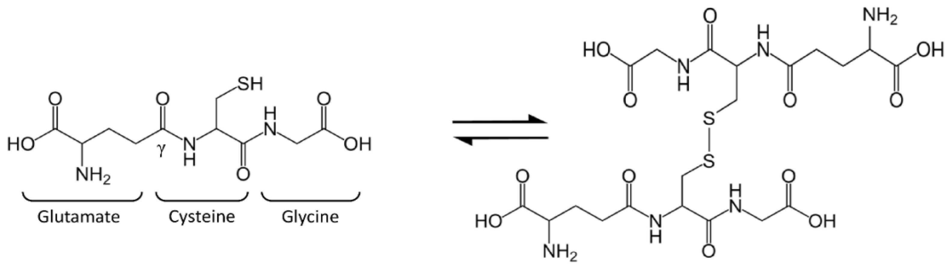 Antioxidants 10 00364 g001