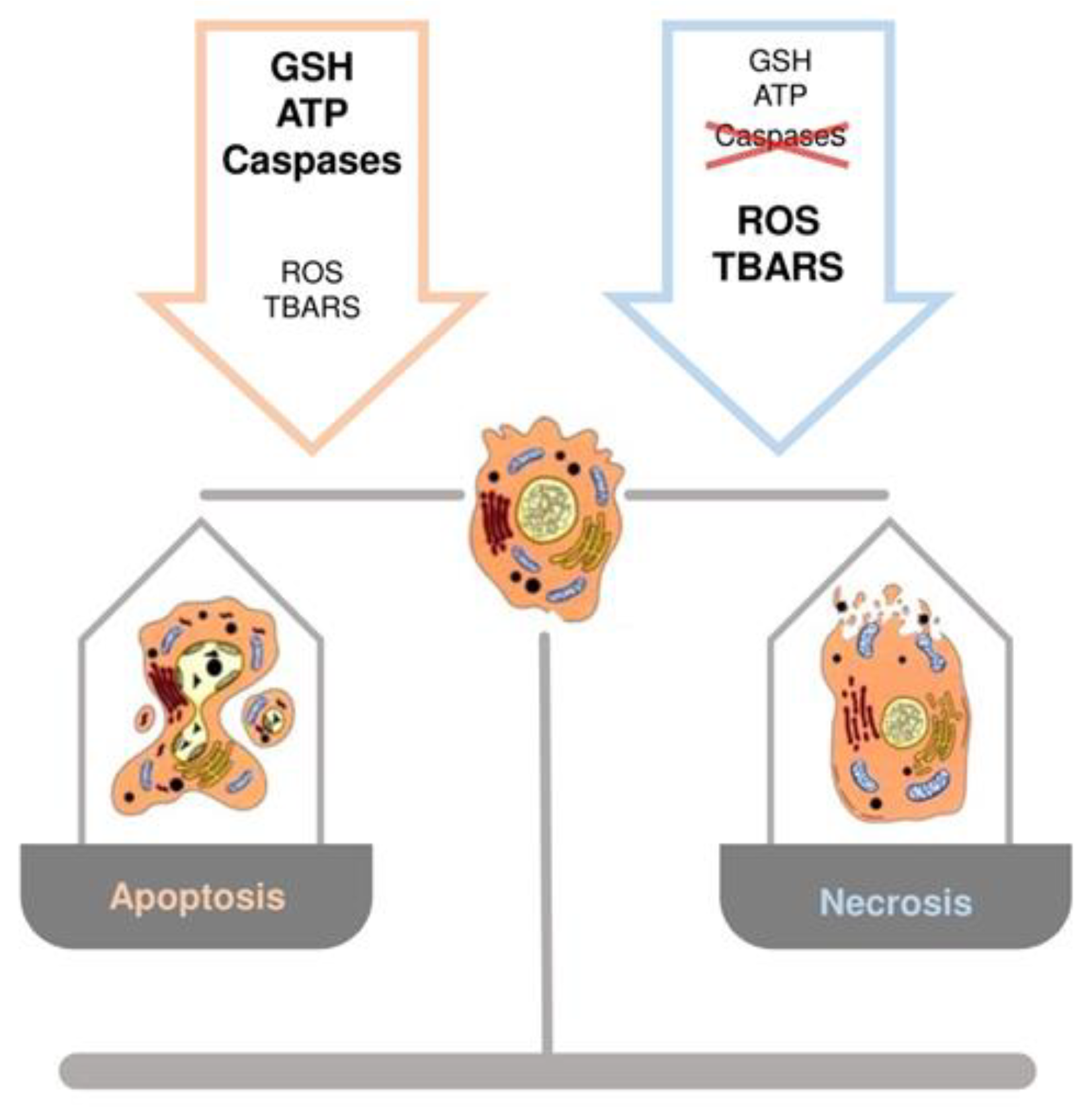 Antioxidants 10 00364 g004