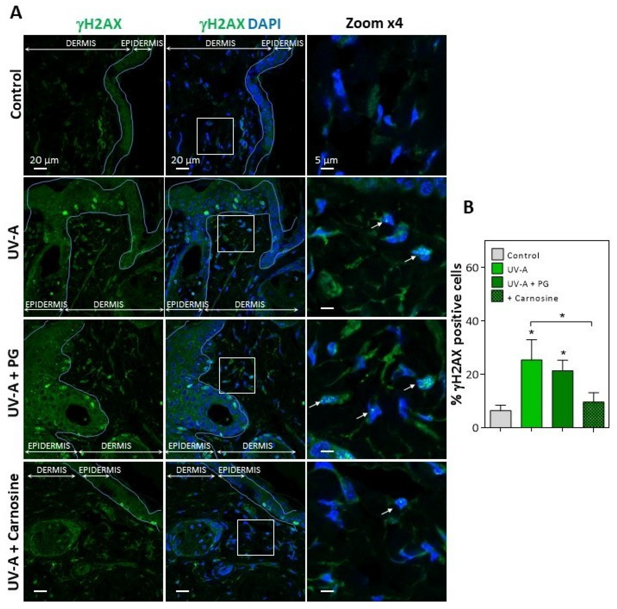 Antioxidants 10 00365 g002