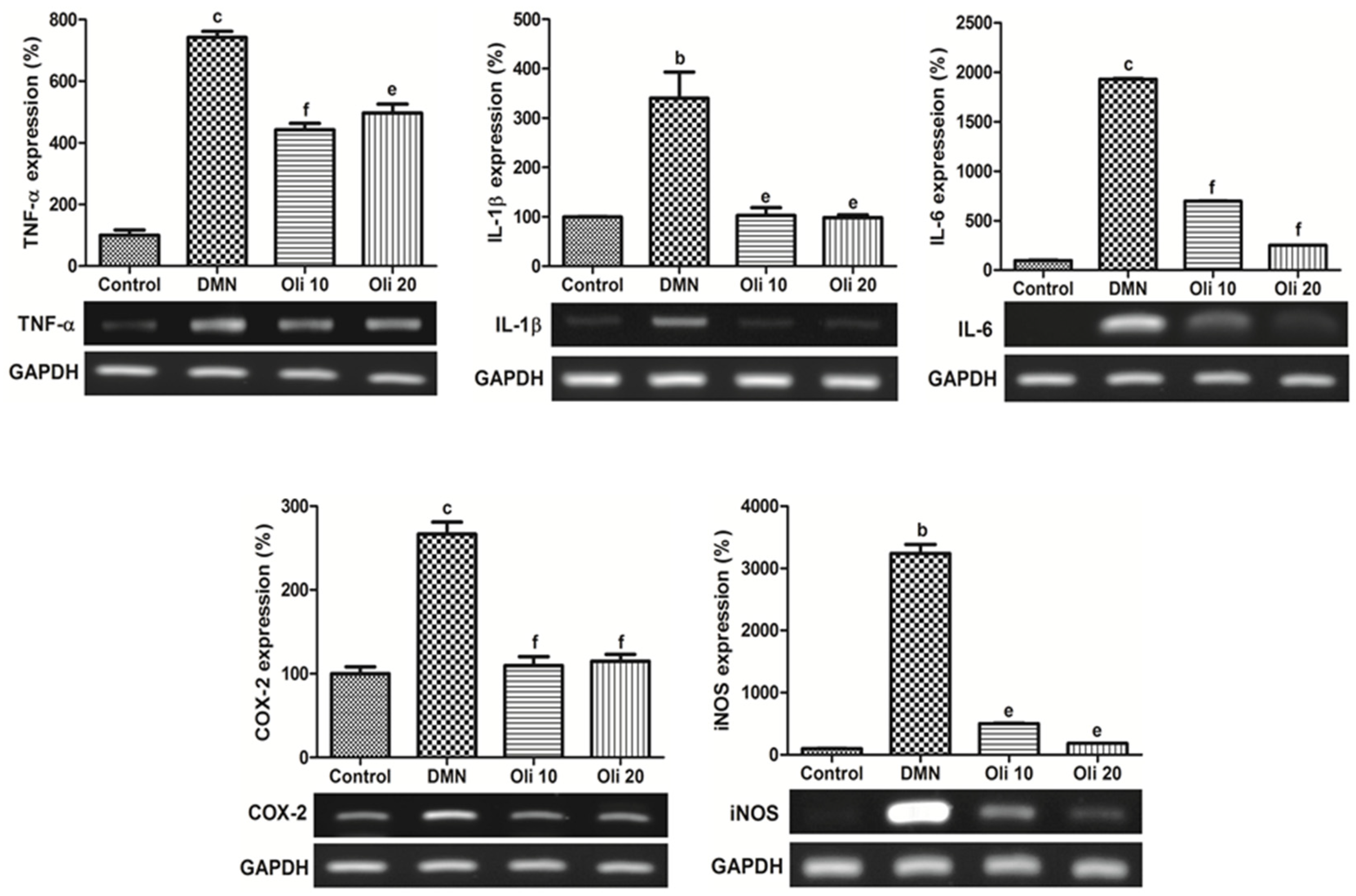 Antioxidants 10 00366 g005