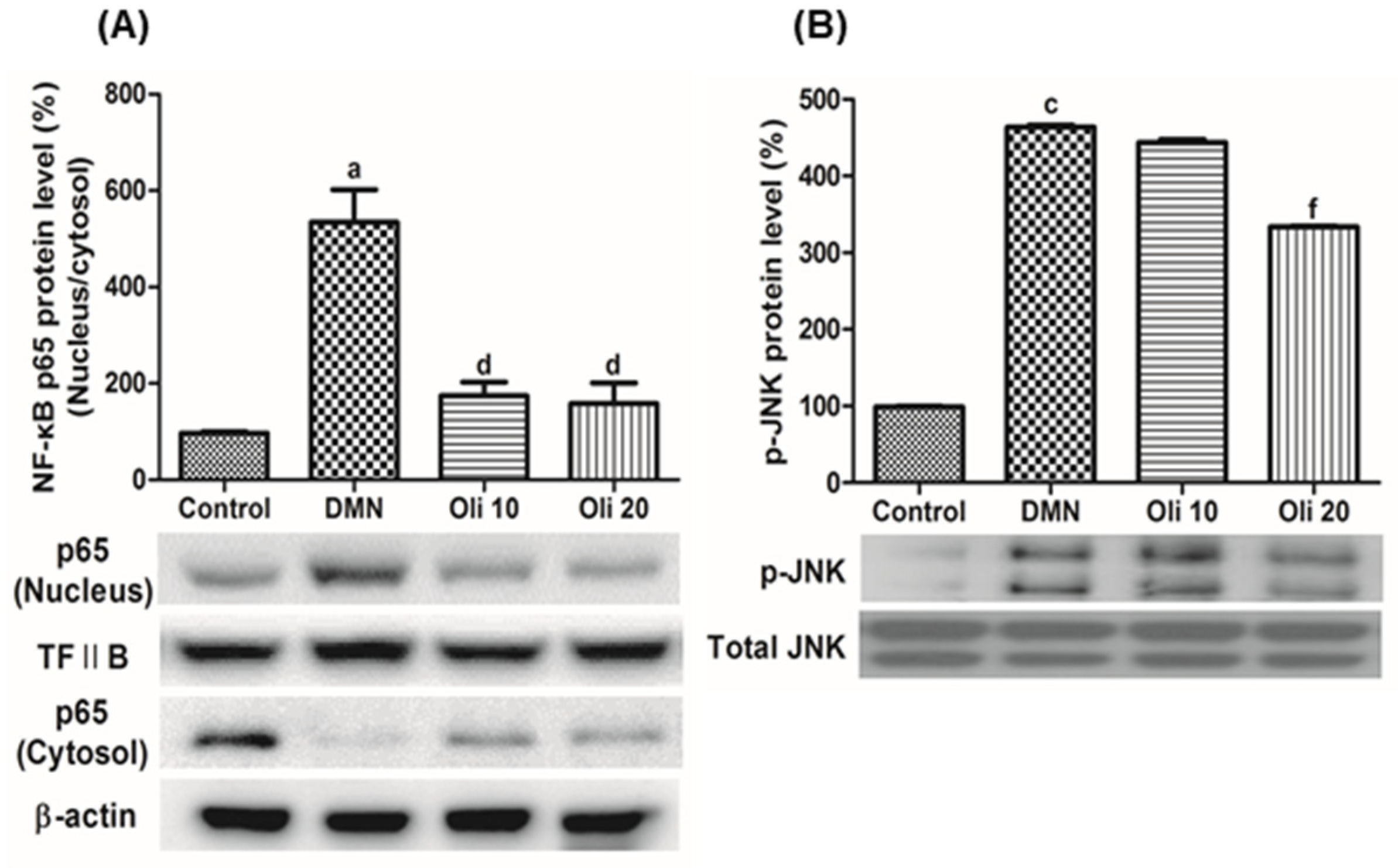 Antioxidants 10 00366 g006