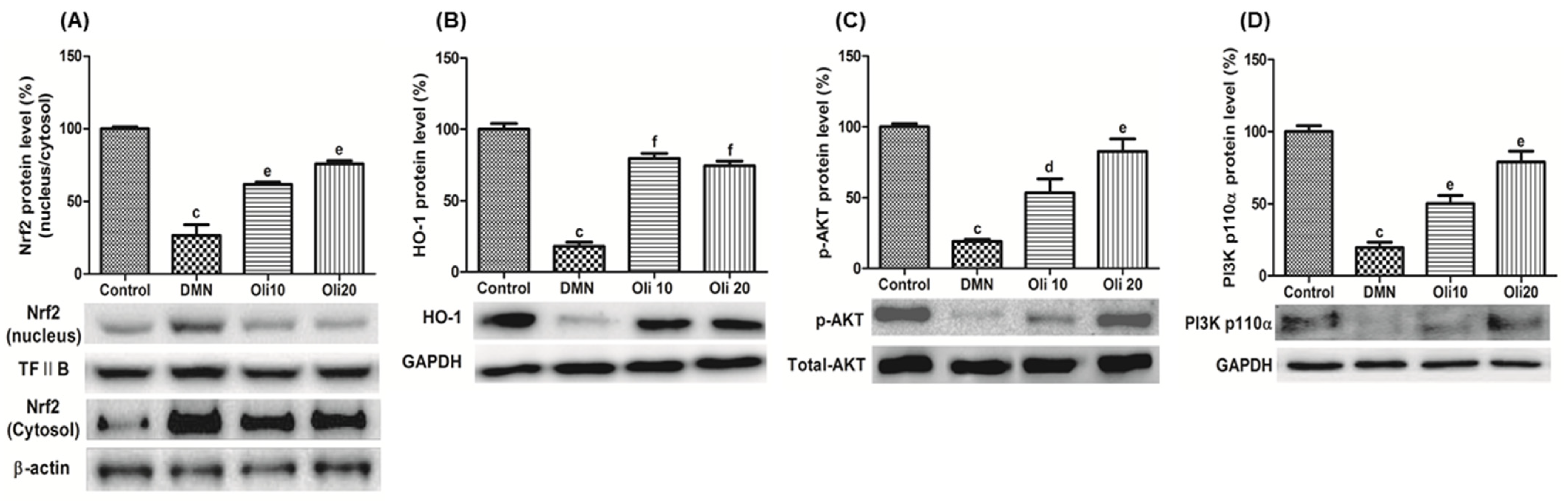 Antioxidants 10 00366 g007