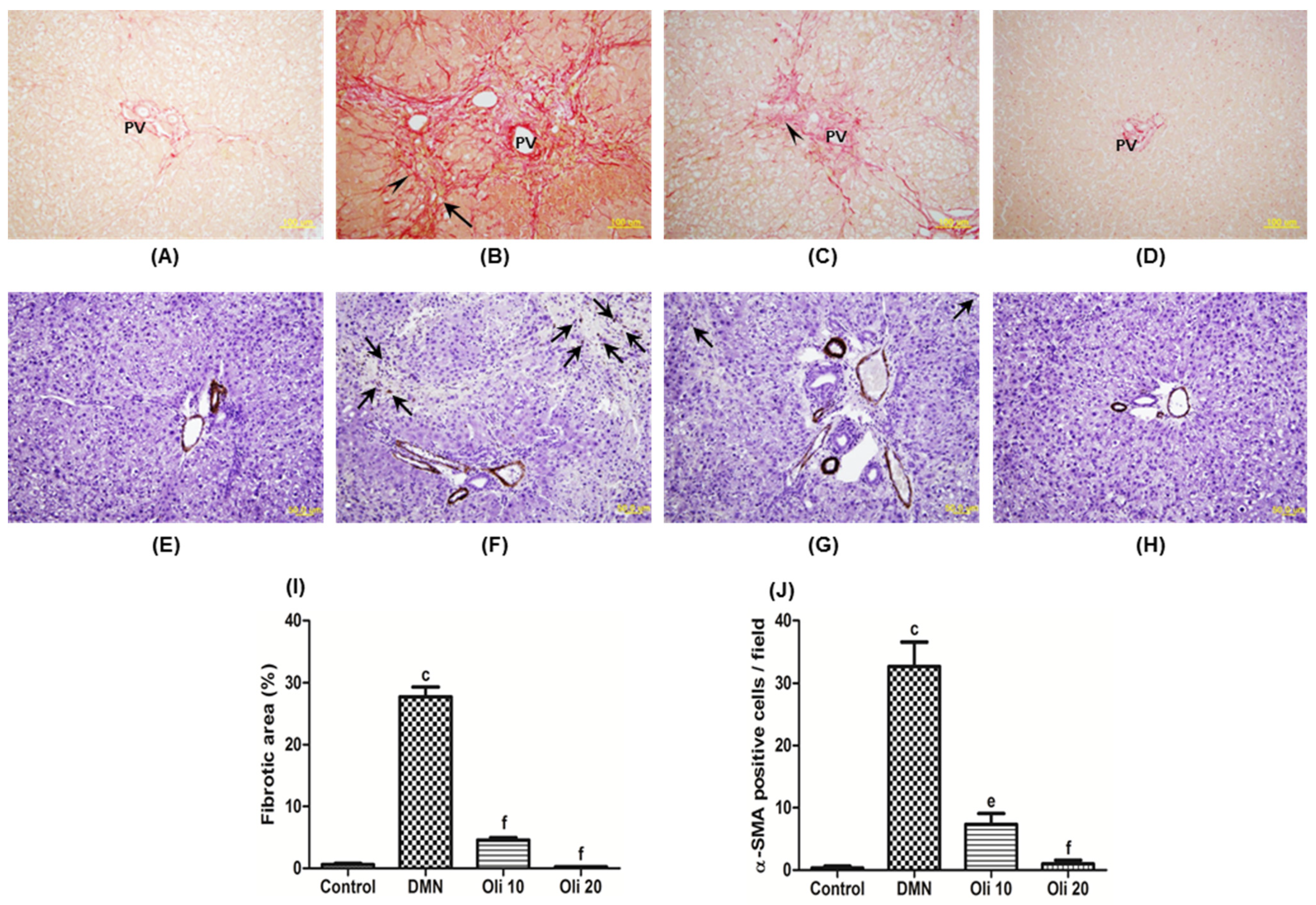 Antioxidants 10 00366 g008