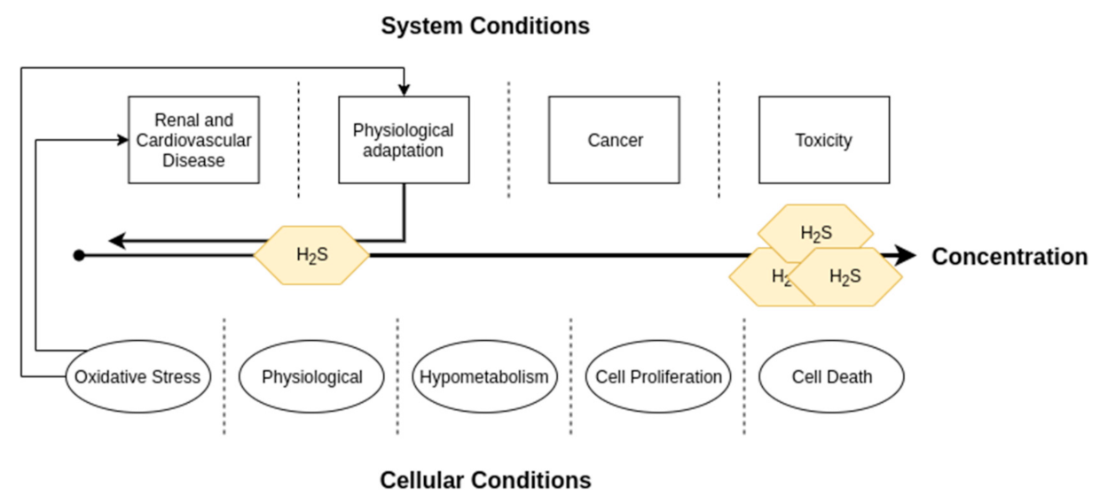 Antioxidants 10 00373 g006