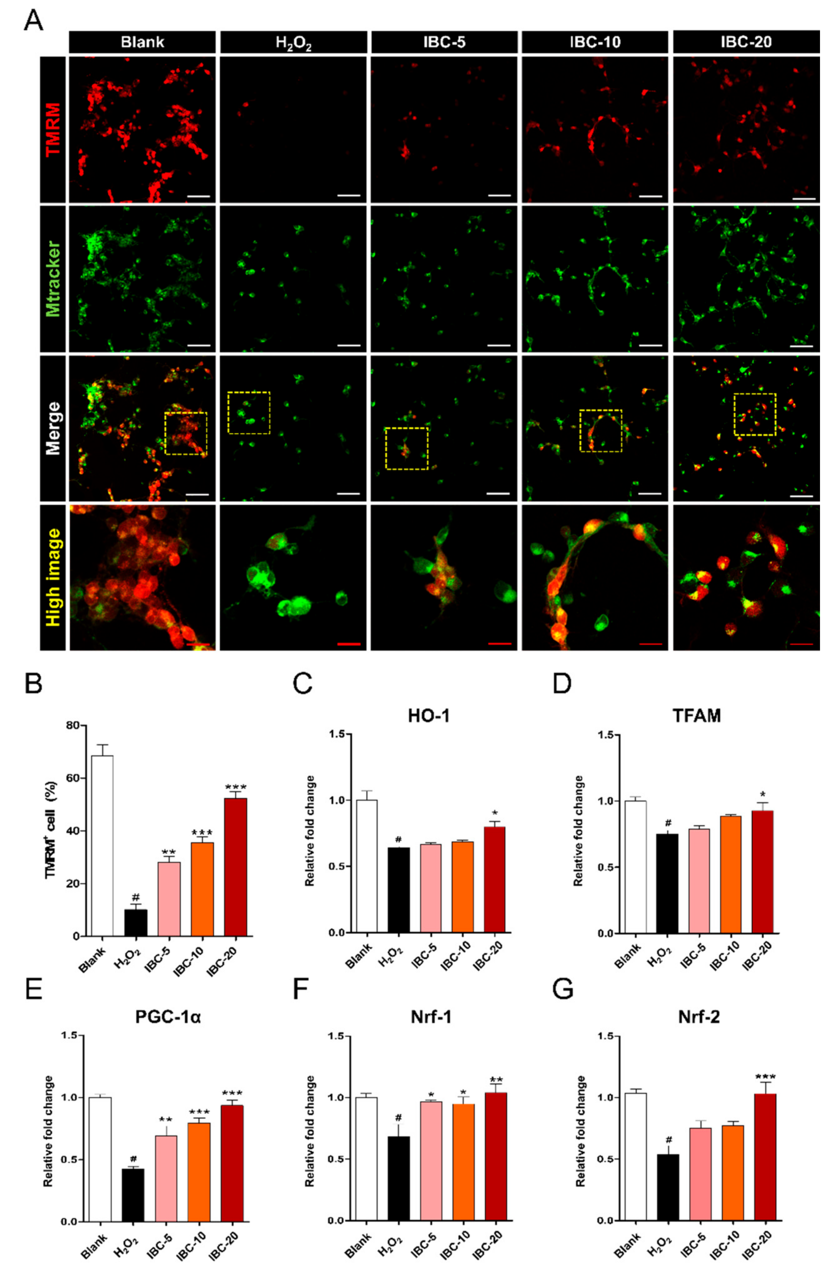 Antioxidants 10 00375 g006 Antioxidants 10 00375 g006