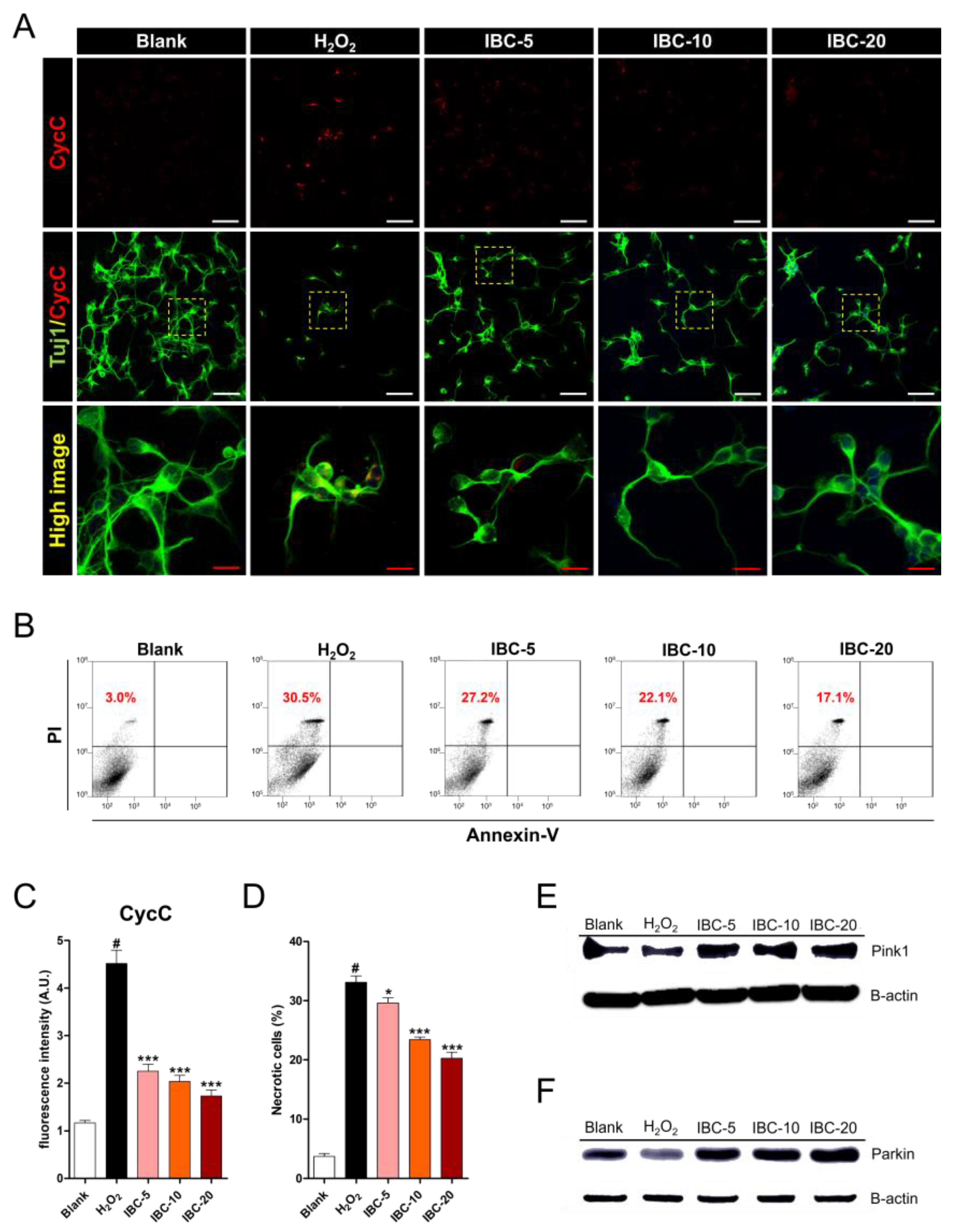 Antioxidants 10 00375 g007 Antioxidants 10 00375 g007