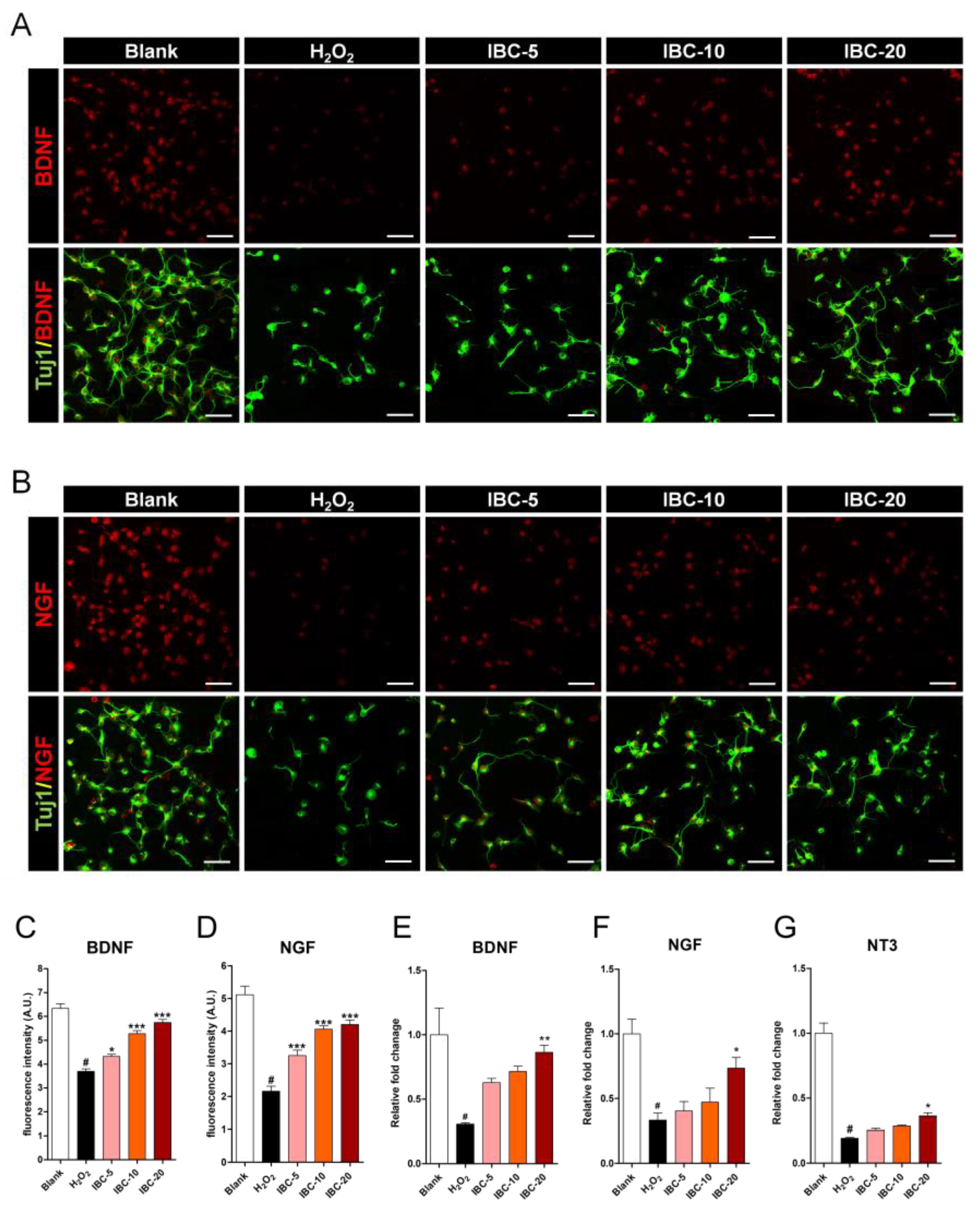 Antioxidants 10 00375 g008 Antioxidants 10 00375 g008