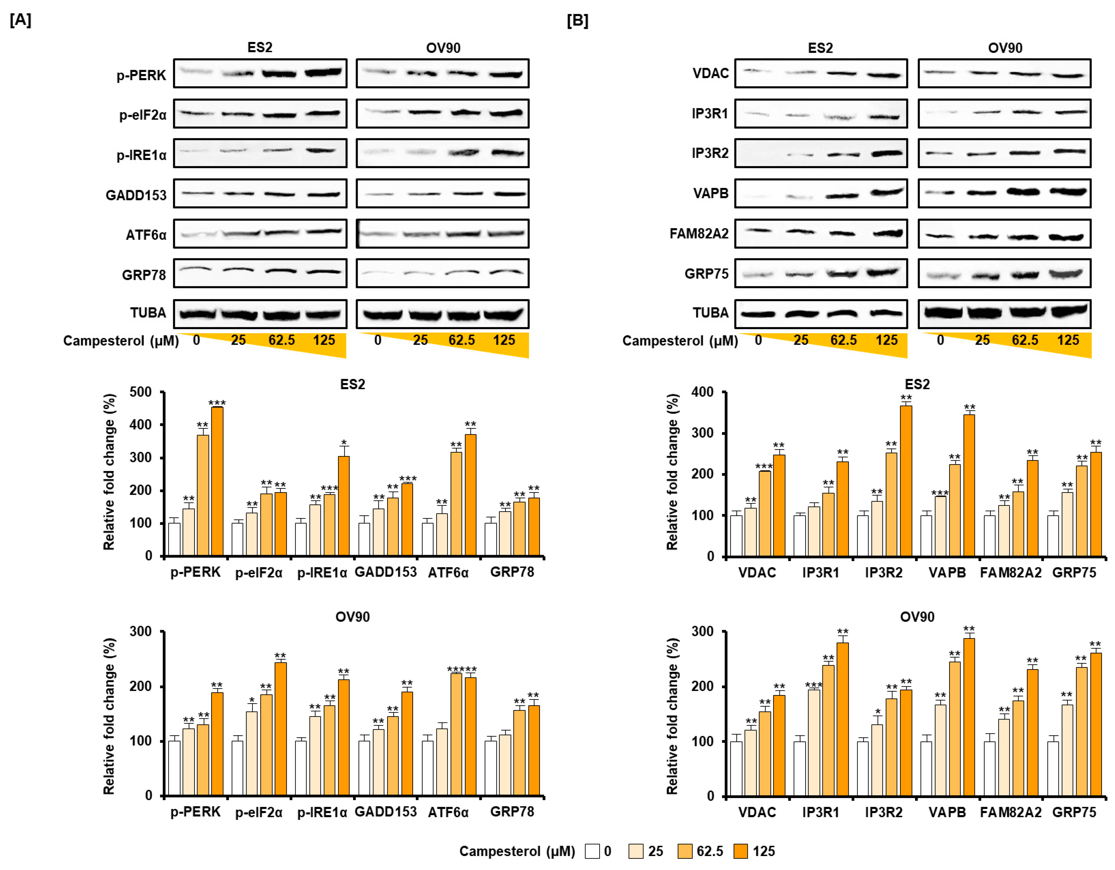 Antioxidants 10 00379 g004