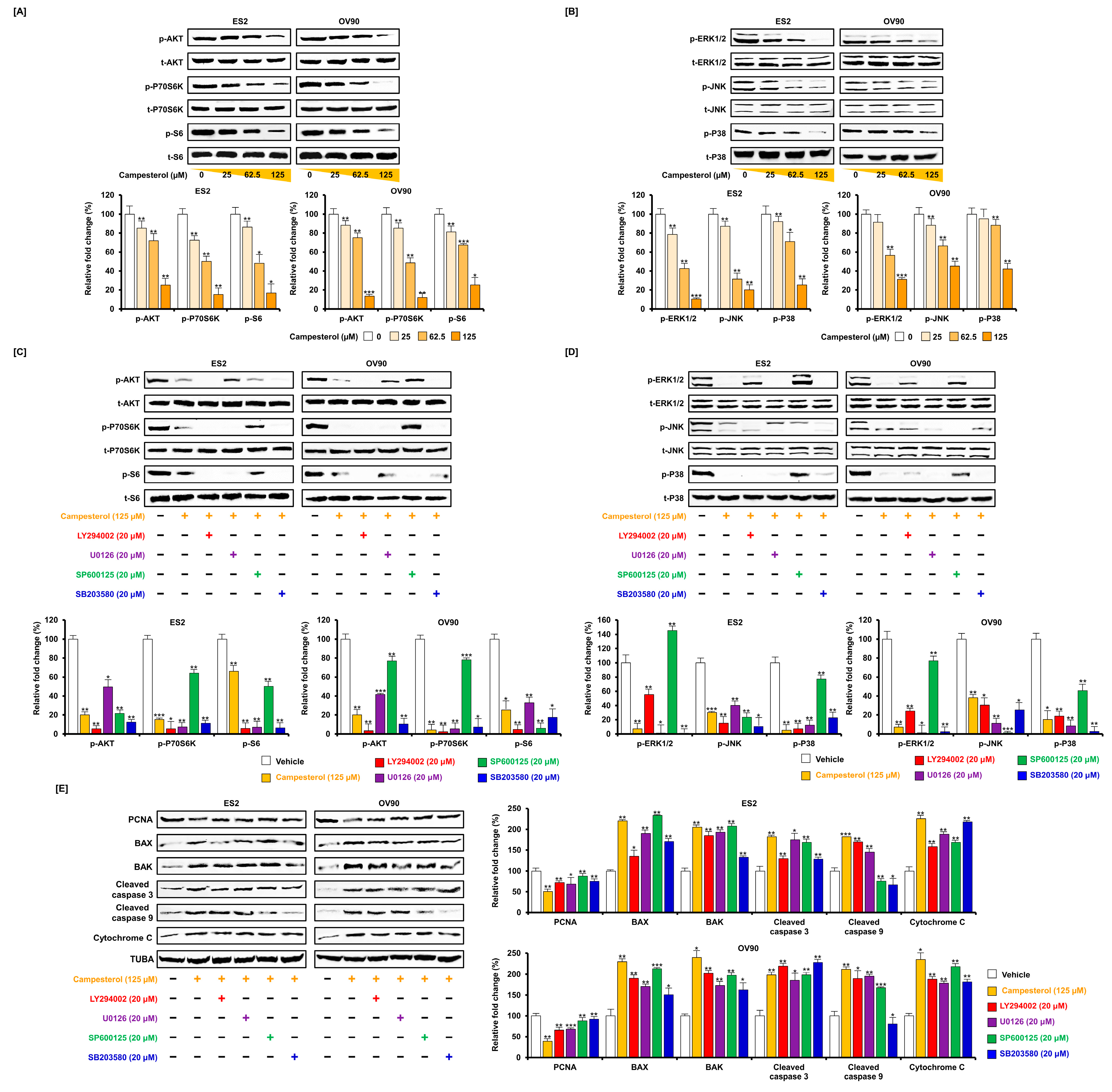 Antioxidants 10 00379 g006