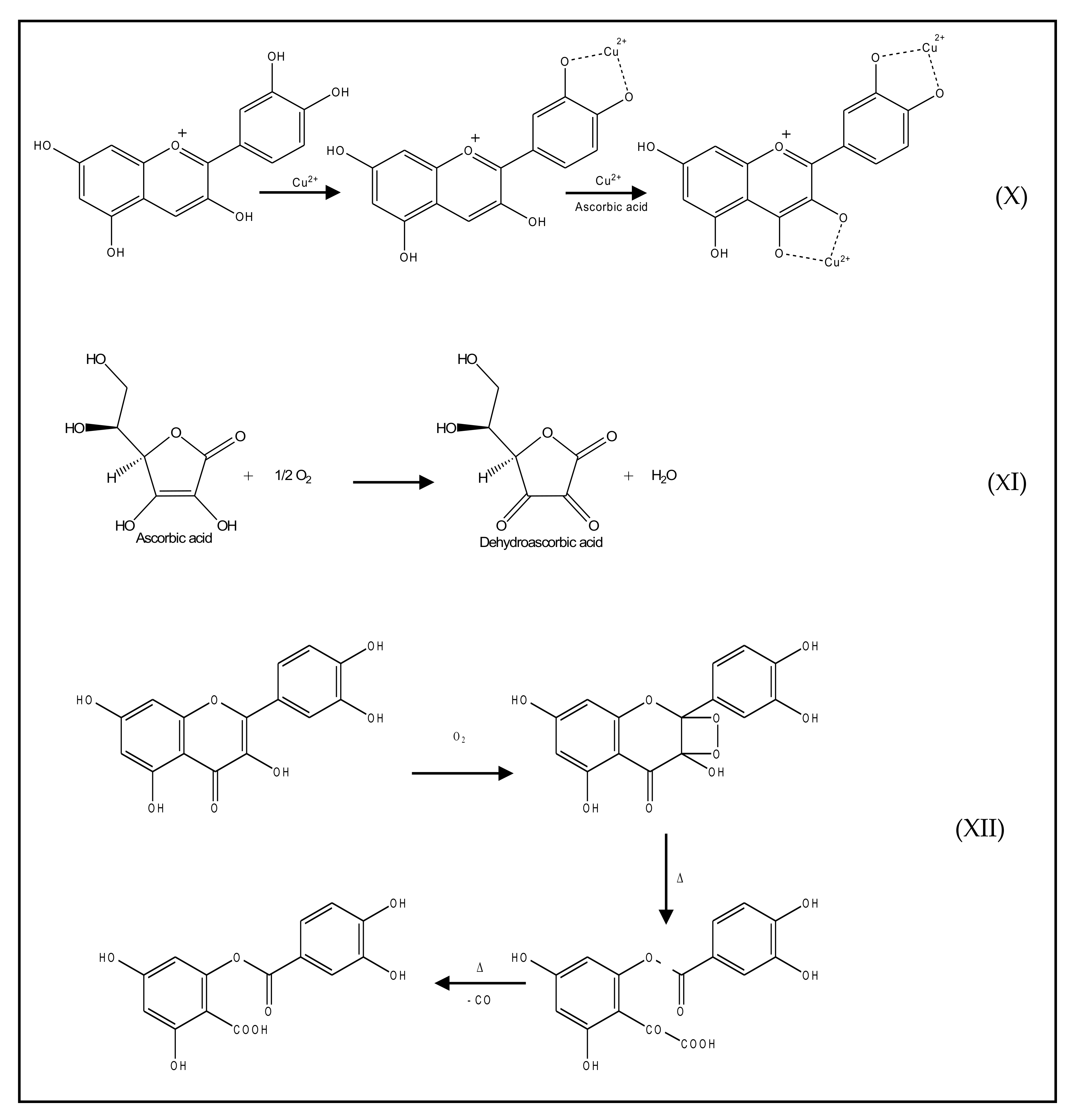 Antioxidants 10 00382 g004