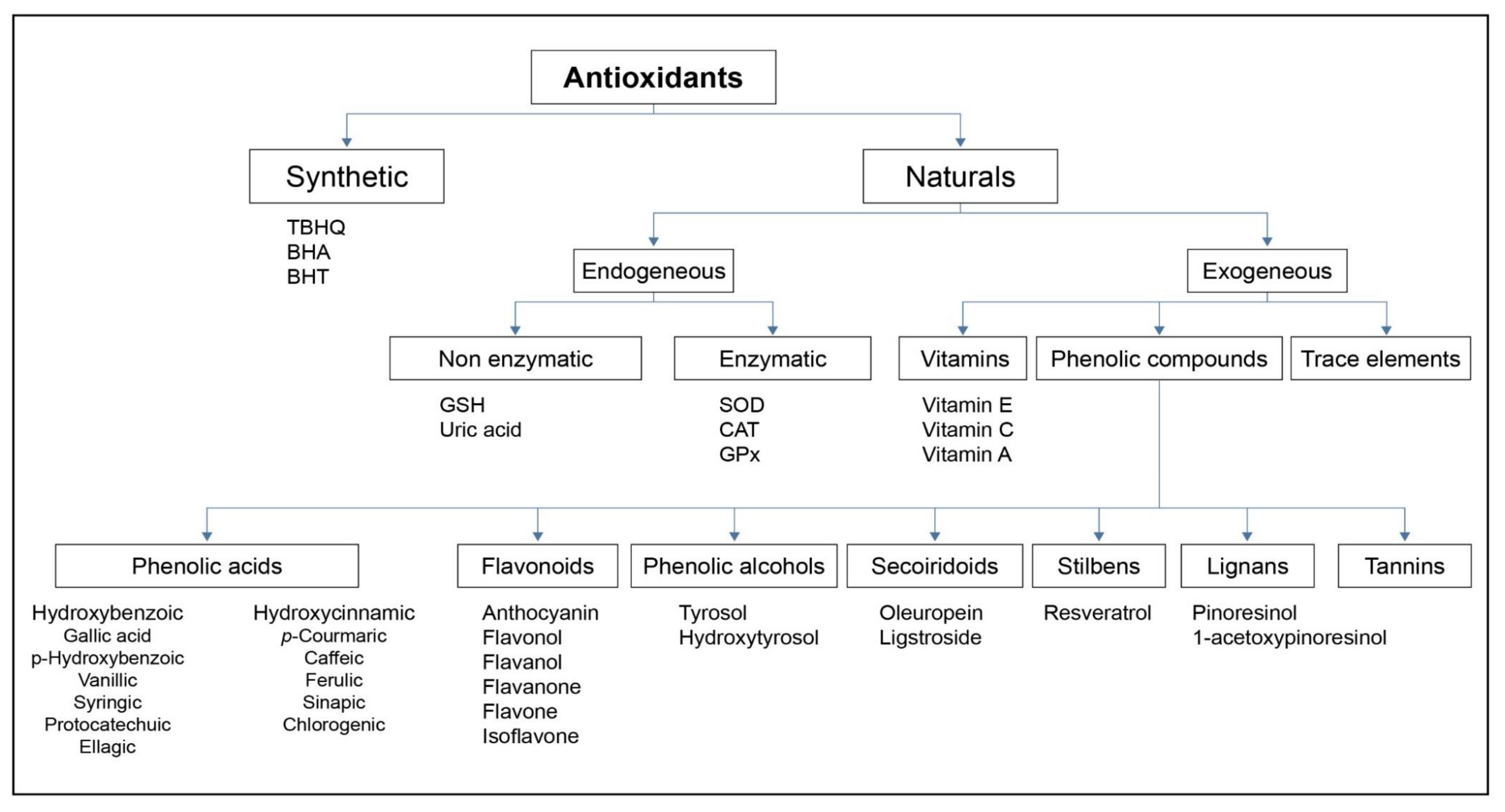 Antioxidants 10 00382 g005