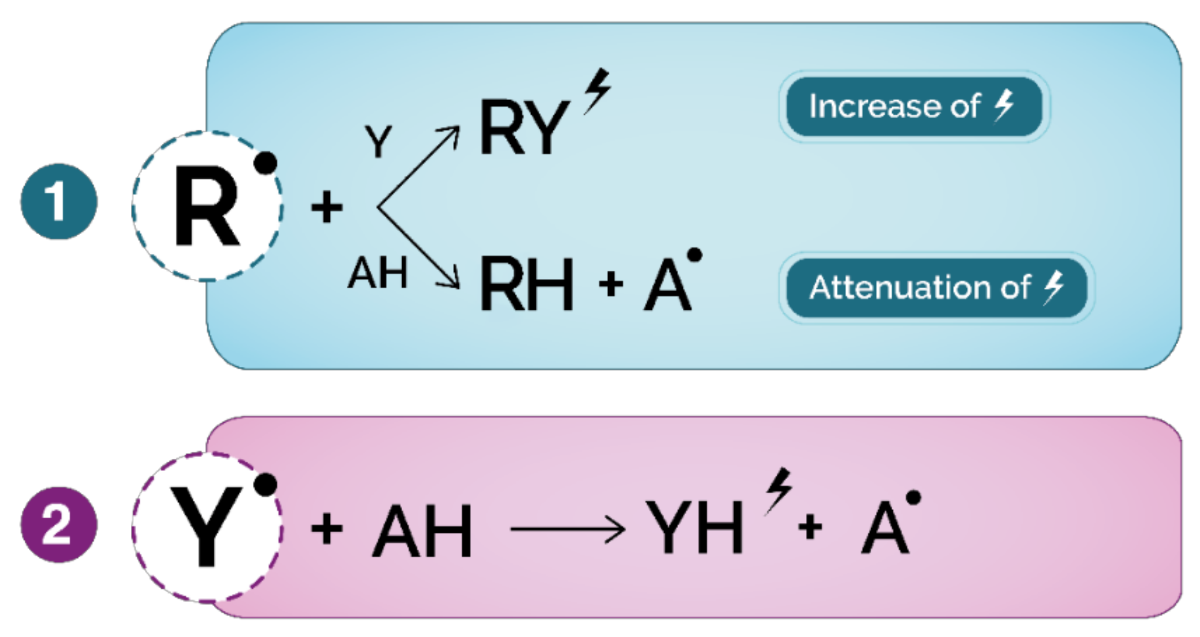 Antioxidants 10 00382 g006