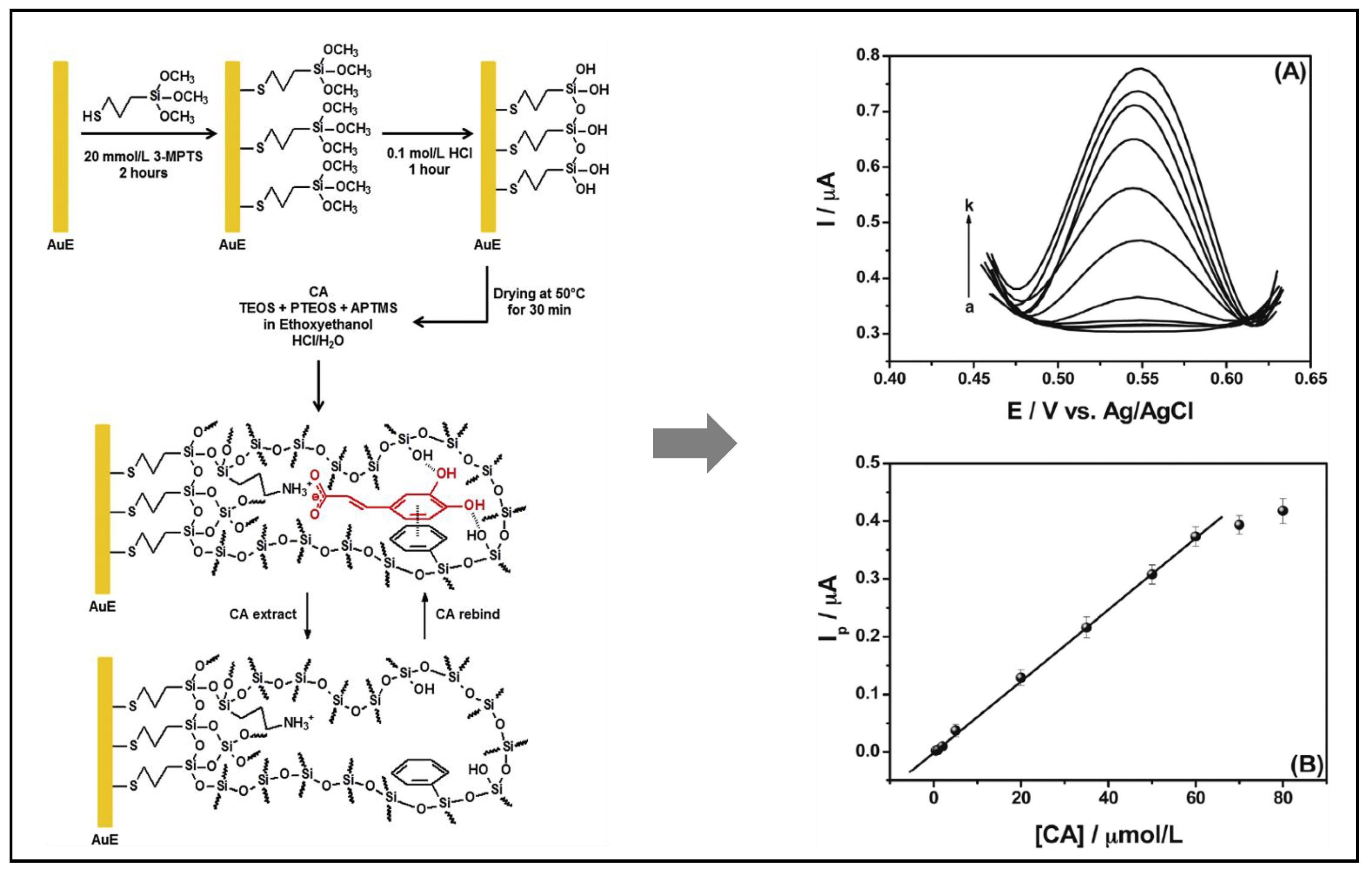 Antioxidants 10 00382 g011