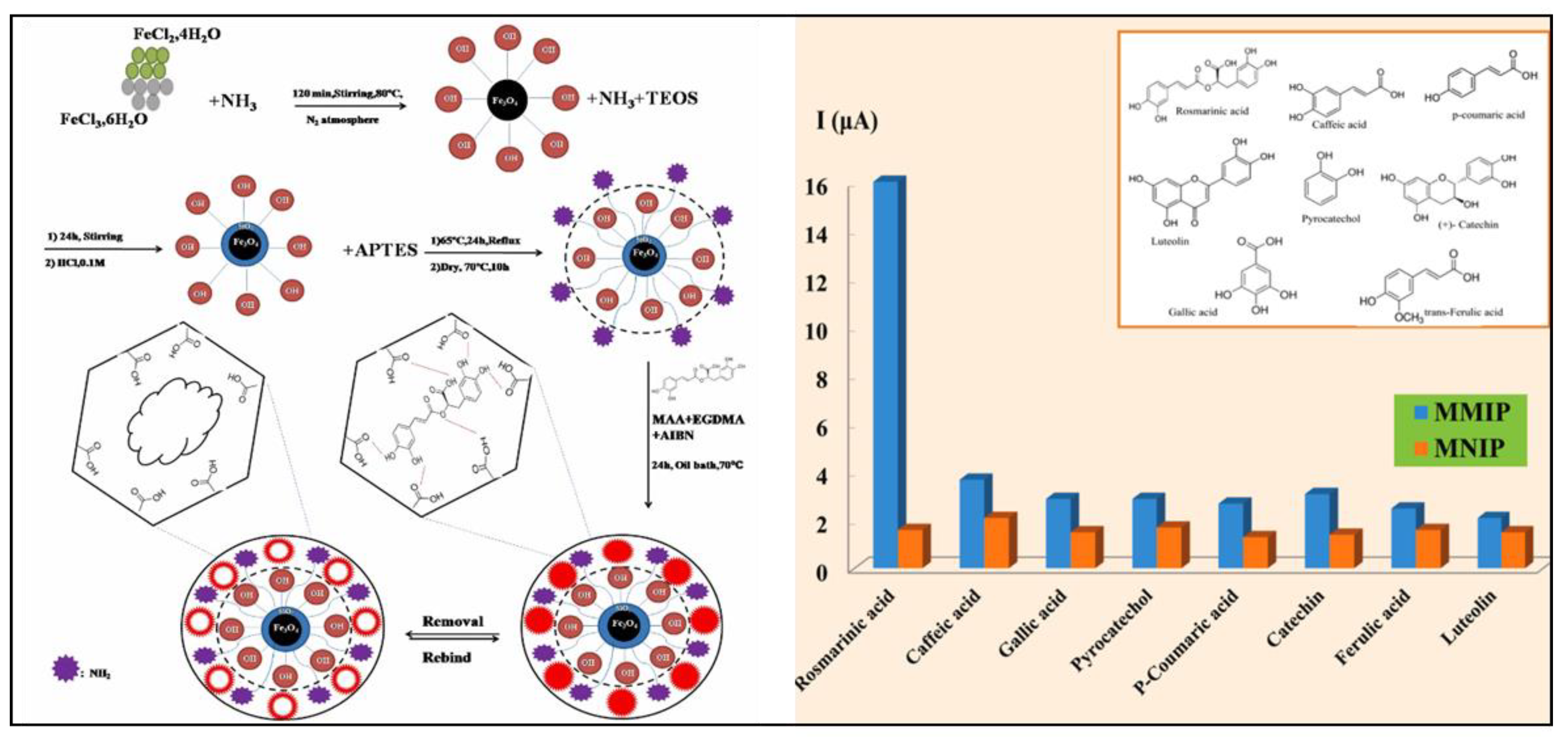 Antioxidants 10 00382 g015