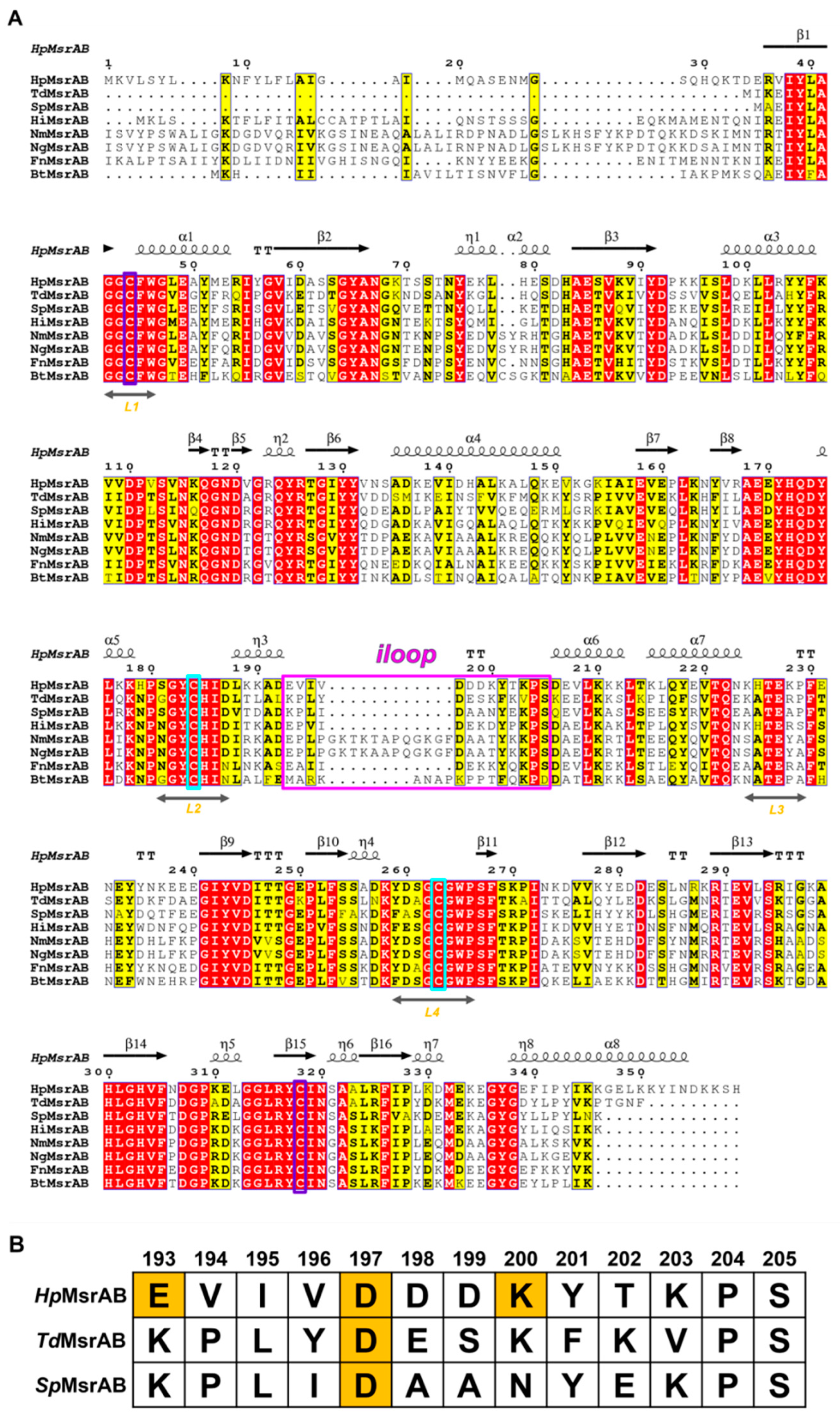 Antioxidants 10 00389 g002 Antioxidants 10 00389 g002