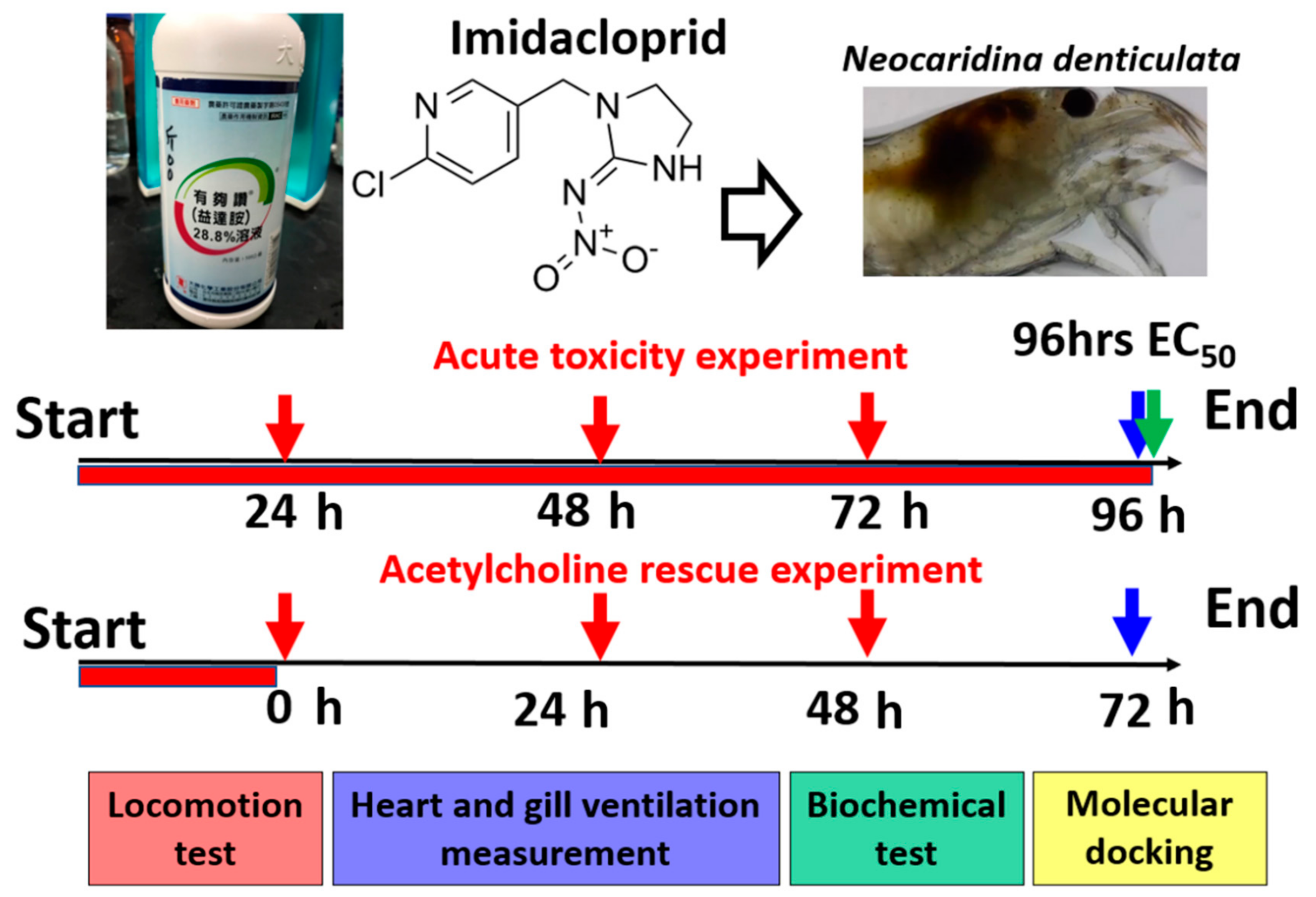 Antioxidants 10 00391 g001